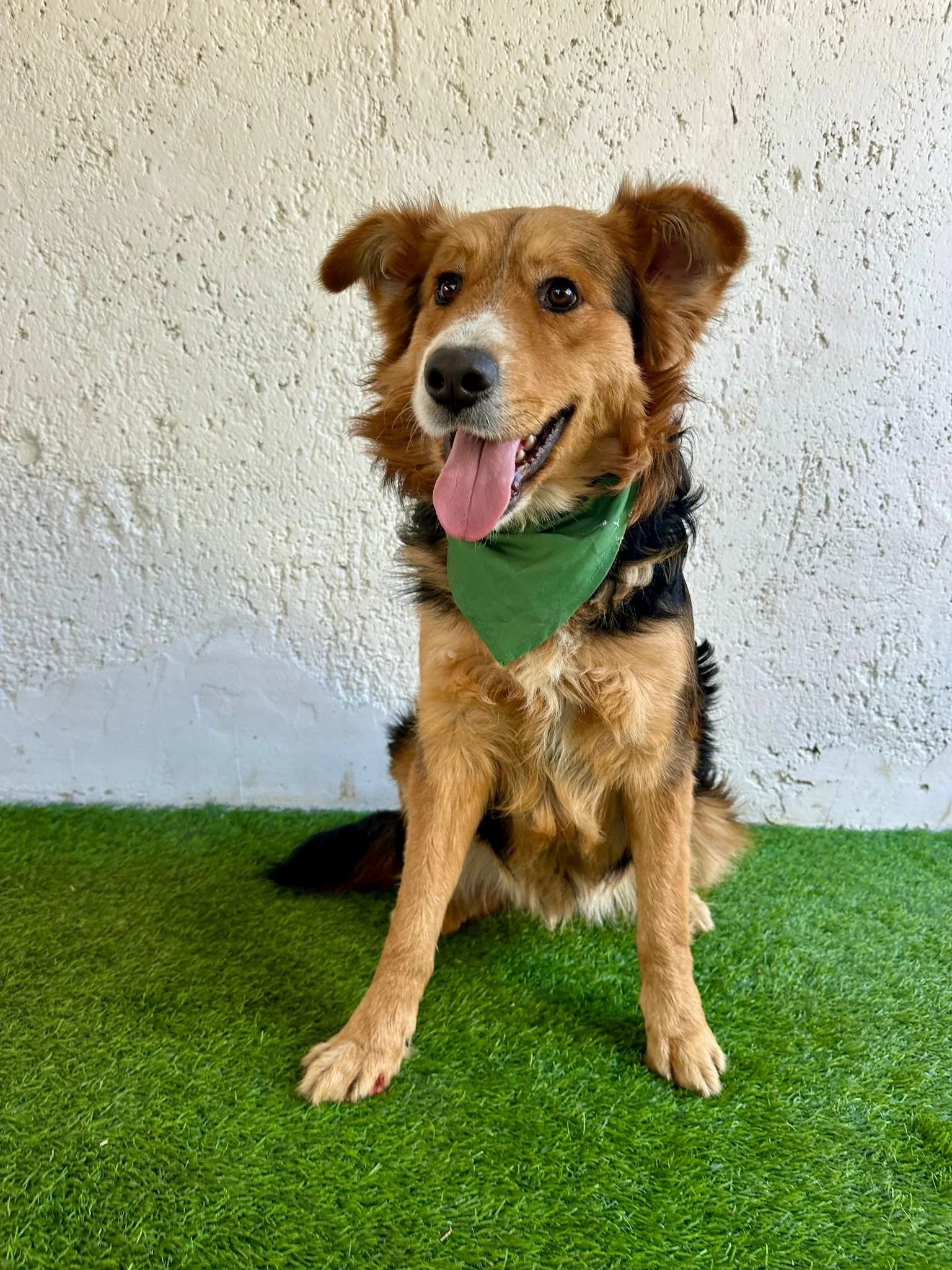 WhatsApp Image 2026-01-09 at 20.26.00 (3).jpeg