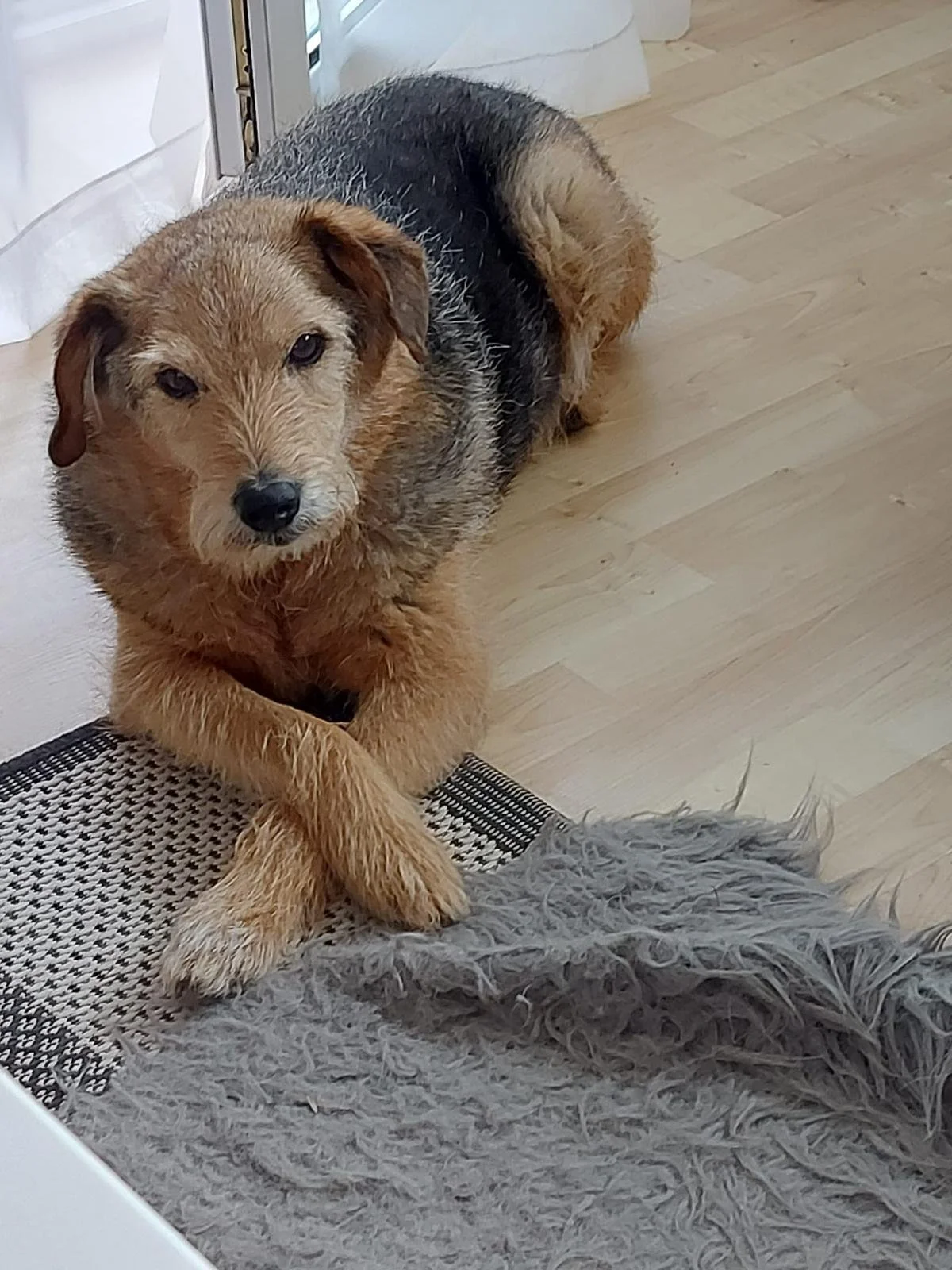 WhatsApp Image 2026-01-24 at 19.38.55 (1).jpeg