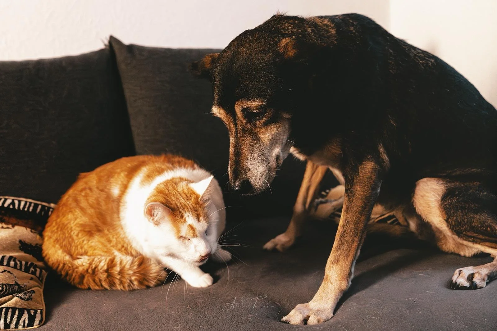 WhatsApp Image 2025-12-13 at 16.28.26.jpeg