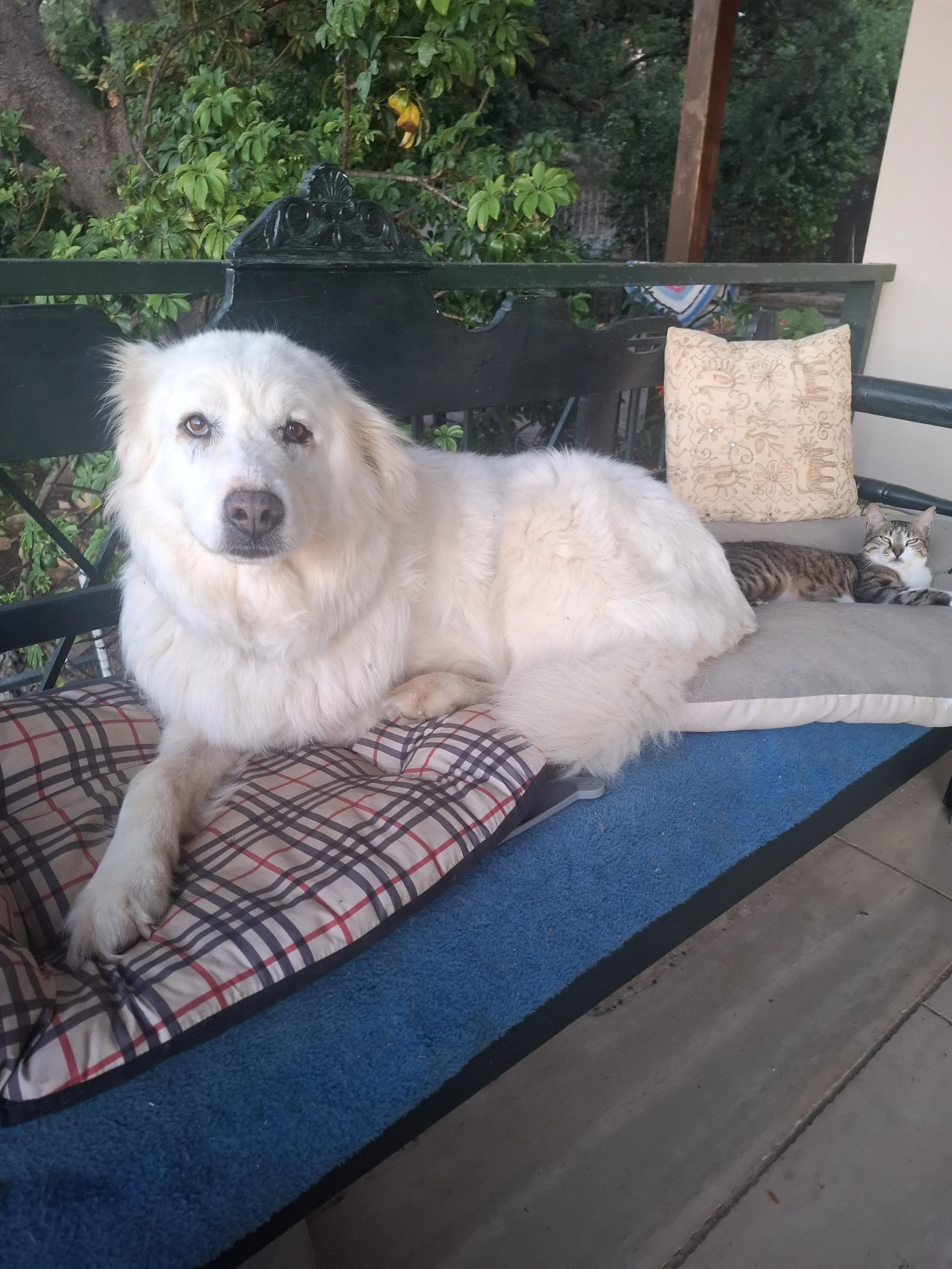 20260615_203148.jpeg