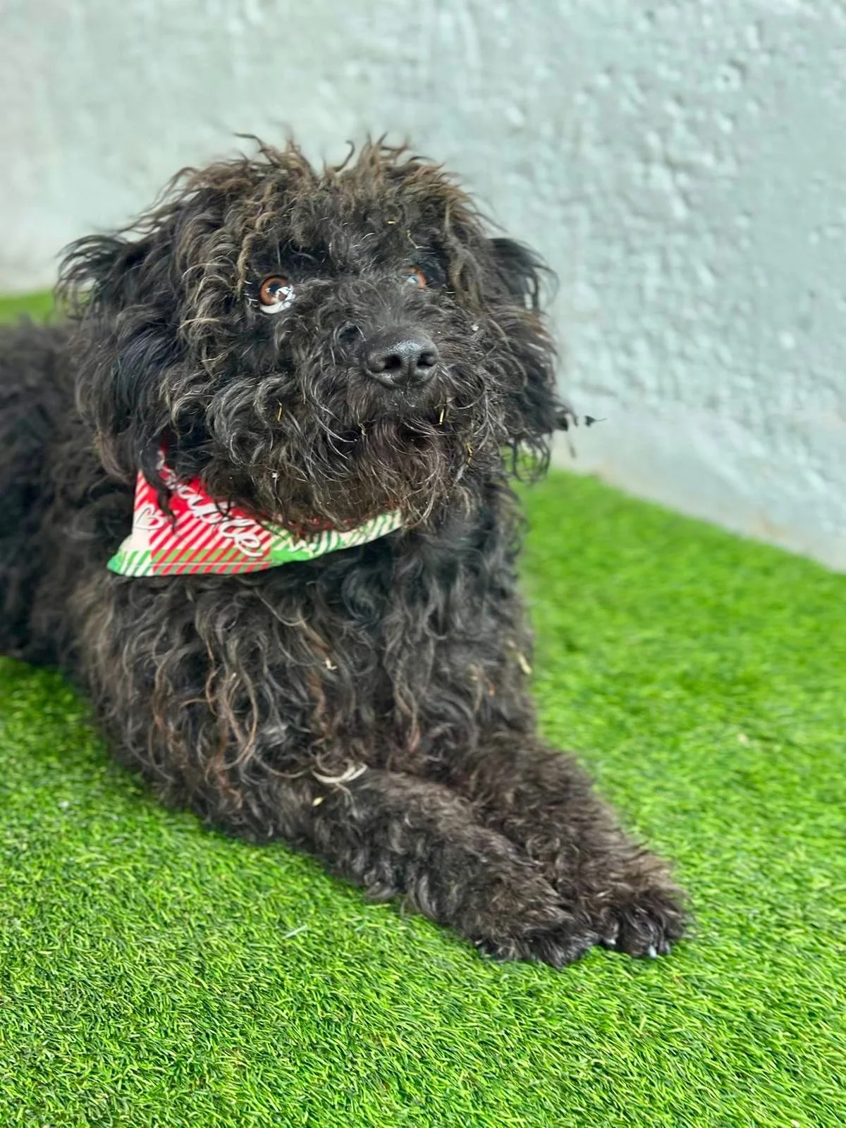 WhatsApp Image 2026-01-20 at 15.53.41 (3).jpeg