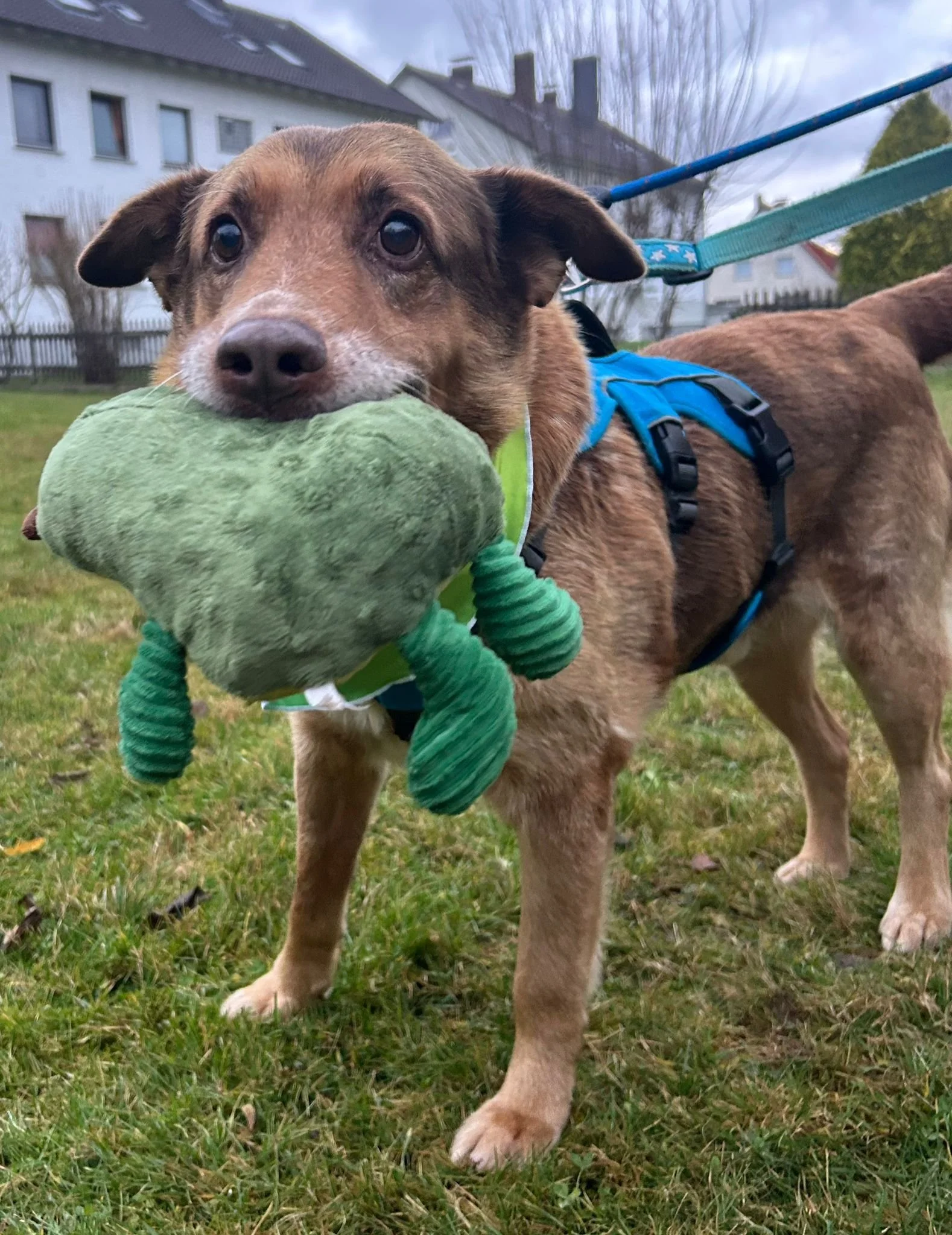 WhatsApp Image 2026-01-23 at 15.35.29.jpeg