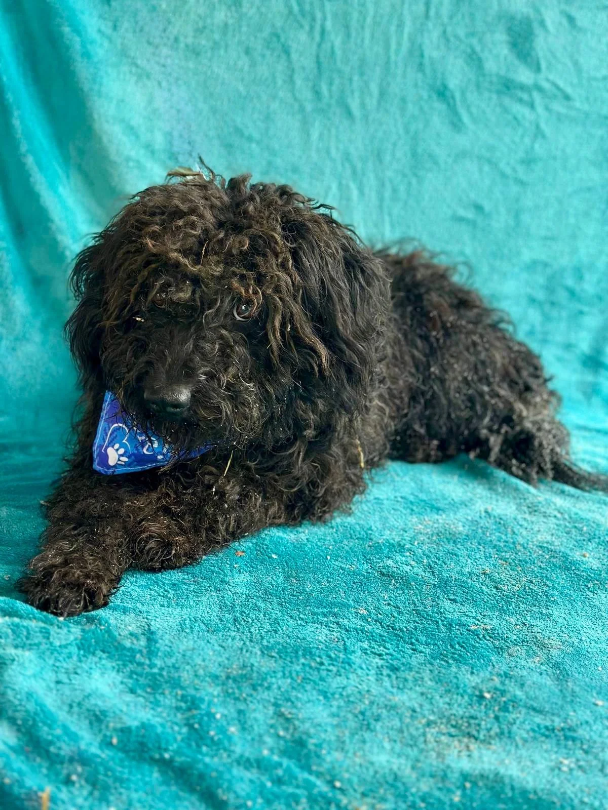 WhatsApp Image 2026-01-20 at 15.53.42 (3).jpeg