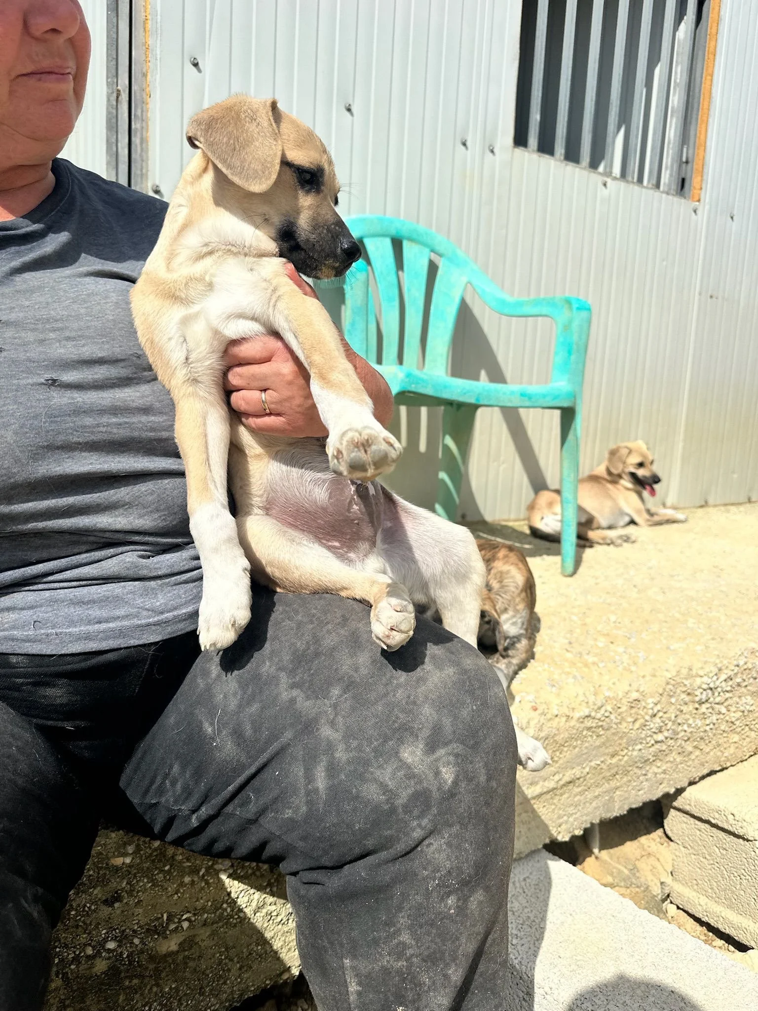 312e5169-4cc9-4189-8aa0-24d77708ab61.jpeg