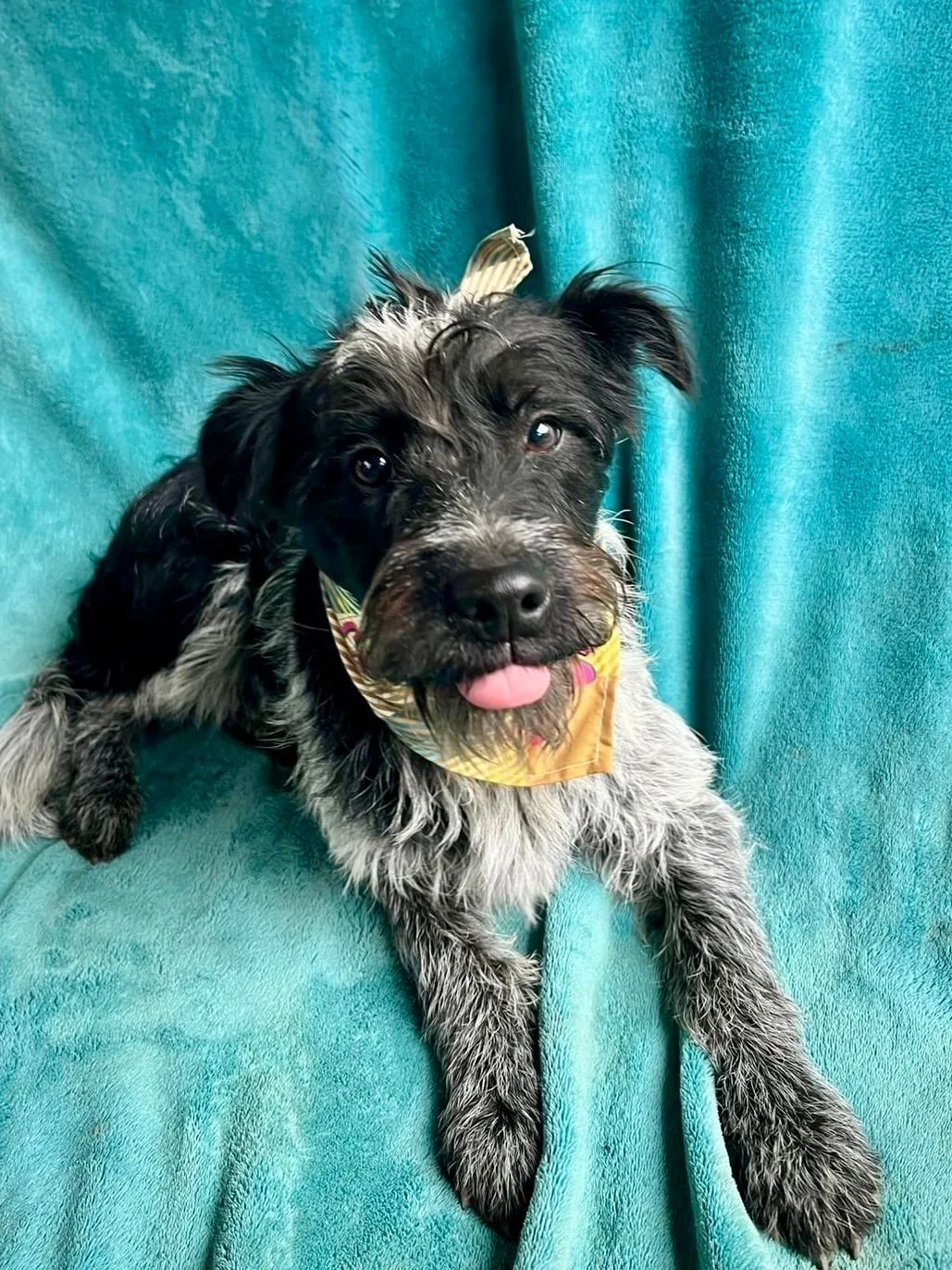 WhatsApp Image 2026-01-03 at 17.56.42.jpeg