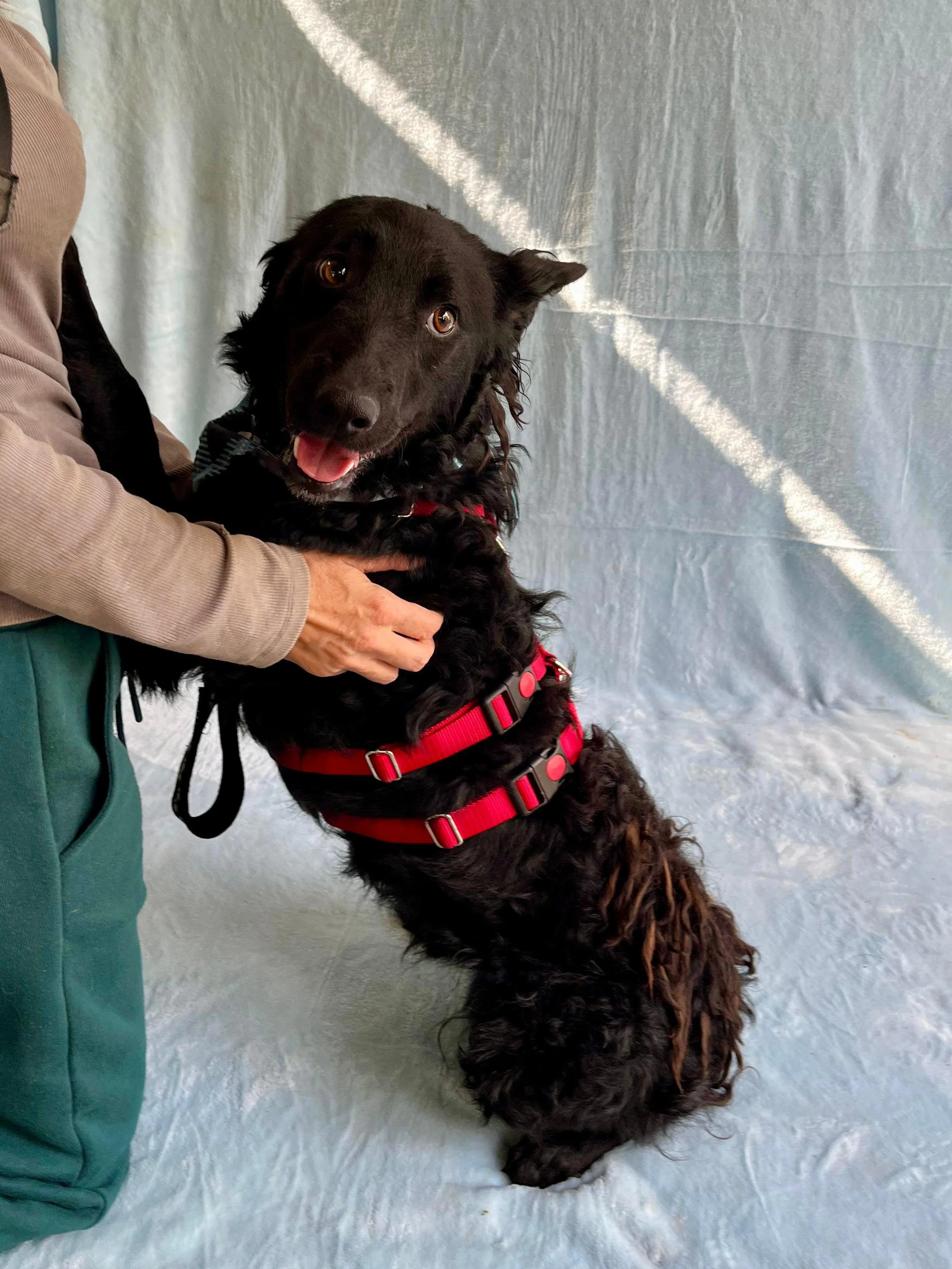 WhatsApp Image 2025-10-28 at 16.52.58.jpeg