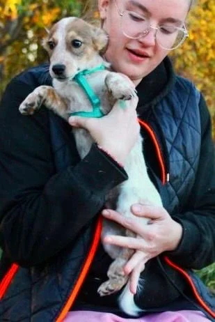 WhatsApp Image 2025-11-18 at 09.53.27 (1).jpeg