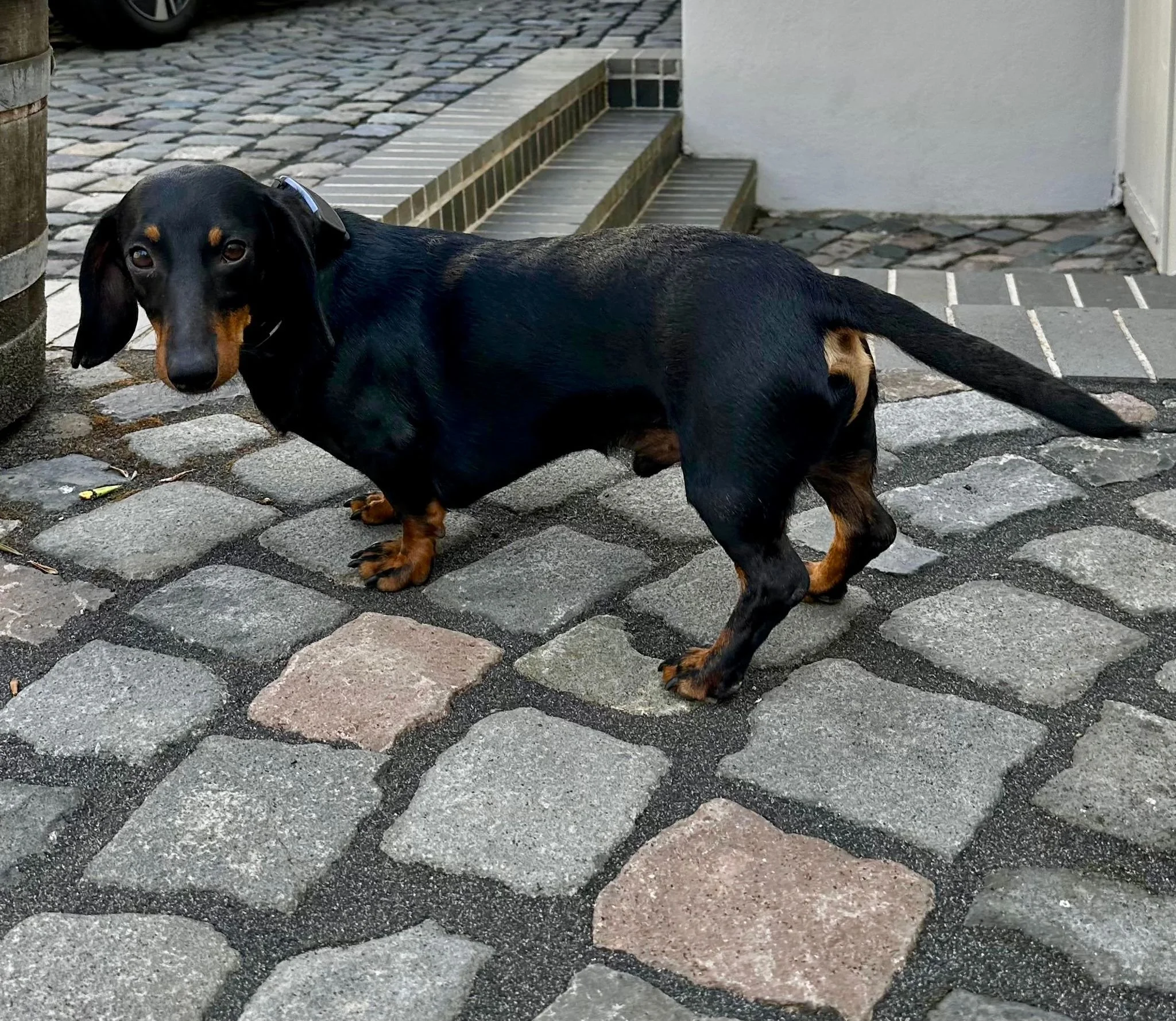 WhatsApp Image 2025-11-17 at 10.34.37 (1).jpeg