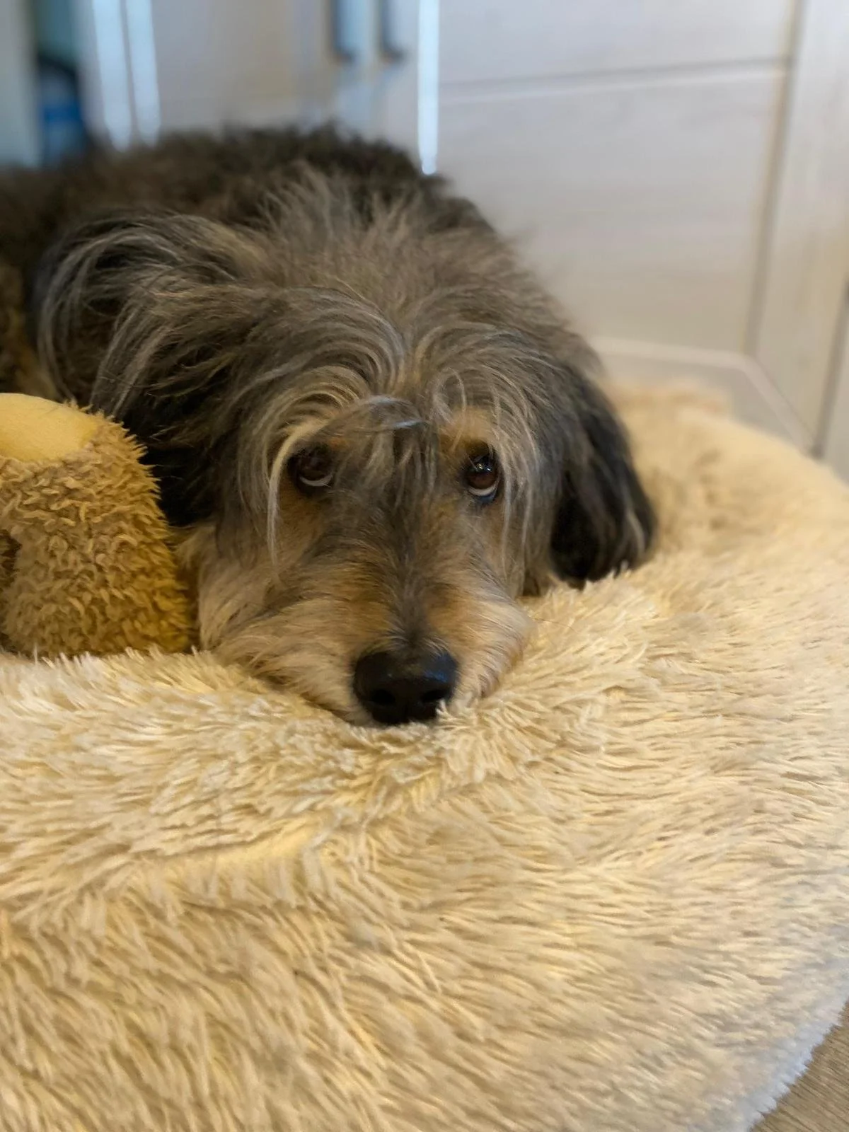 WhatsApp Image 2026-01-10 at 12.02.50 (1).jpeg