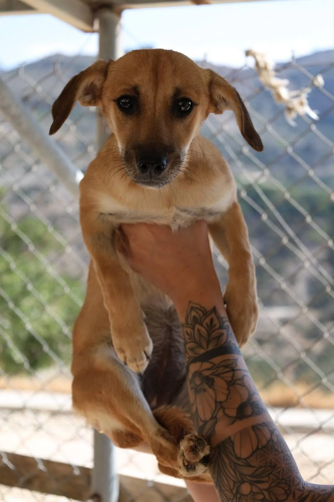 b288d120-d418-425a-a66e-9604b9c0d69a.JPG