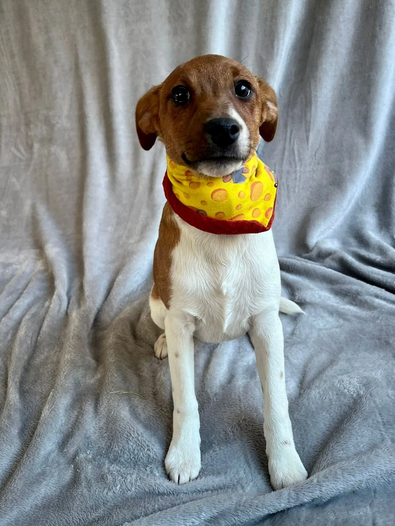 WhatsApp Image 2026-01-01 at 11.31.57.jpeg