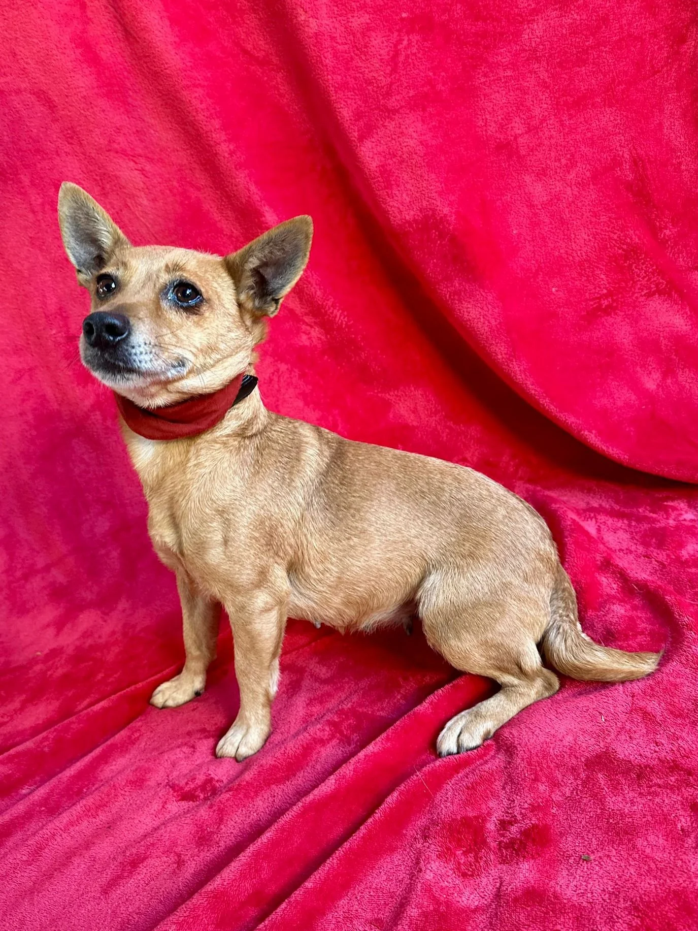 WhatsApp Image 2026-01-01 at 11.59.01 (1).jpeg