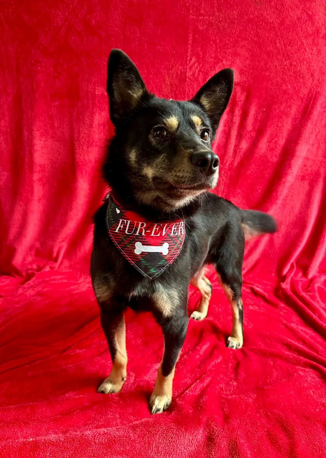 WhatsApp Image 2026-01-01 at 13.24.56 (2).jpeg