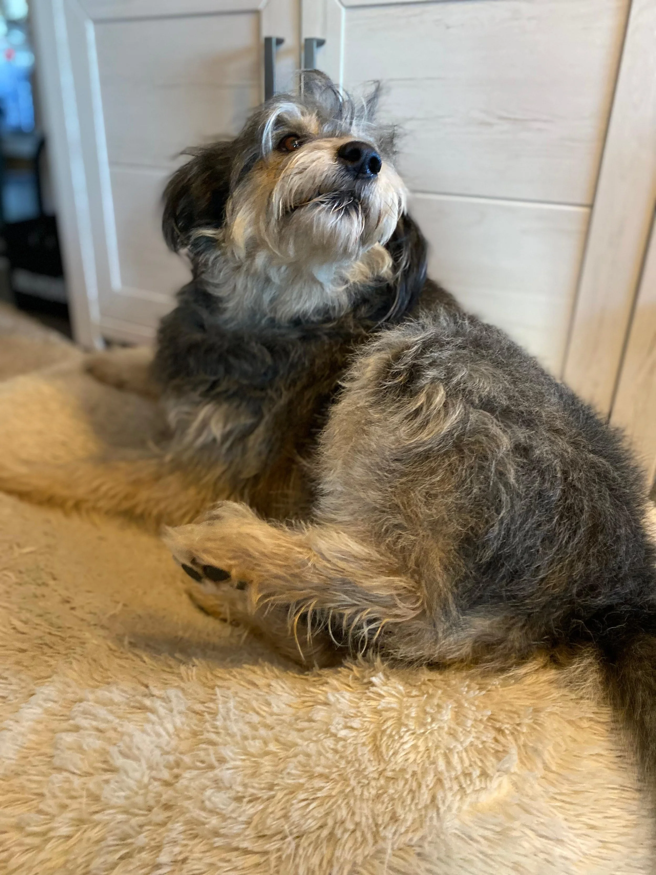 WhatsApp Image 2026-01-10 at 12.02.47 (2).jpeg