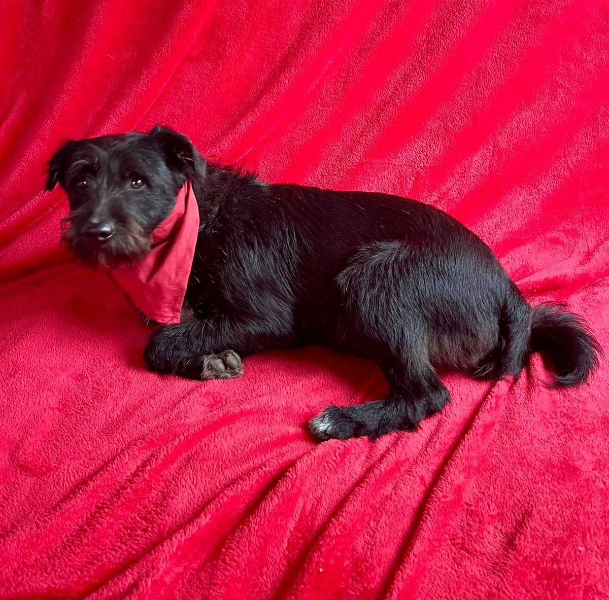 WhatsApp Image 2026-01-03 at 17.56.38.jpeg