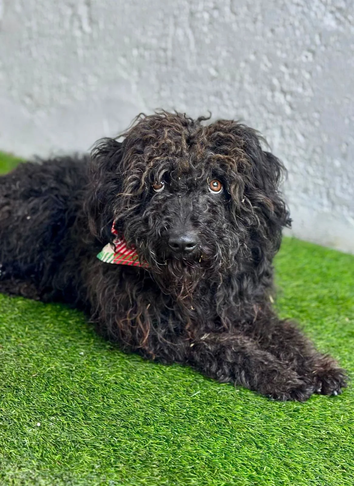 WhatsApp Image 2026-01-20 at 15.53.39.jpeg