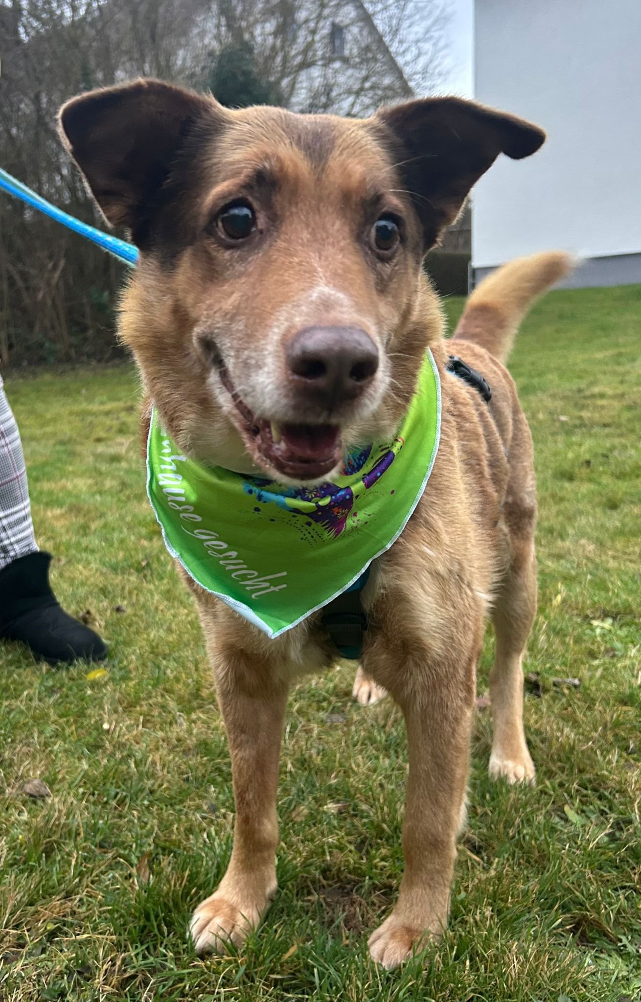 WhatsApp Image 2026-01-23 at 15.35.32 (1).jpeg