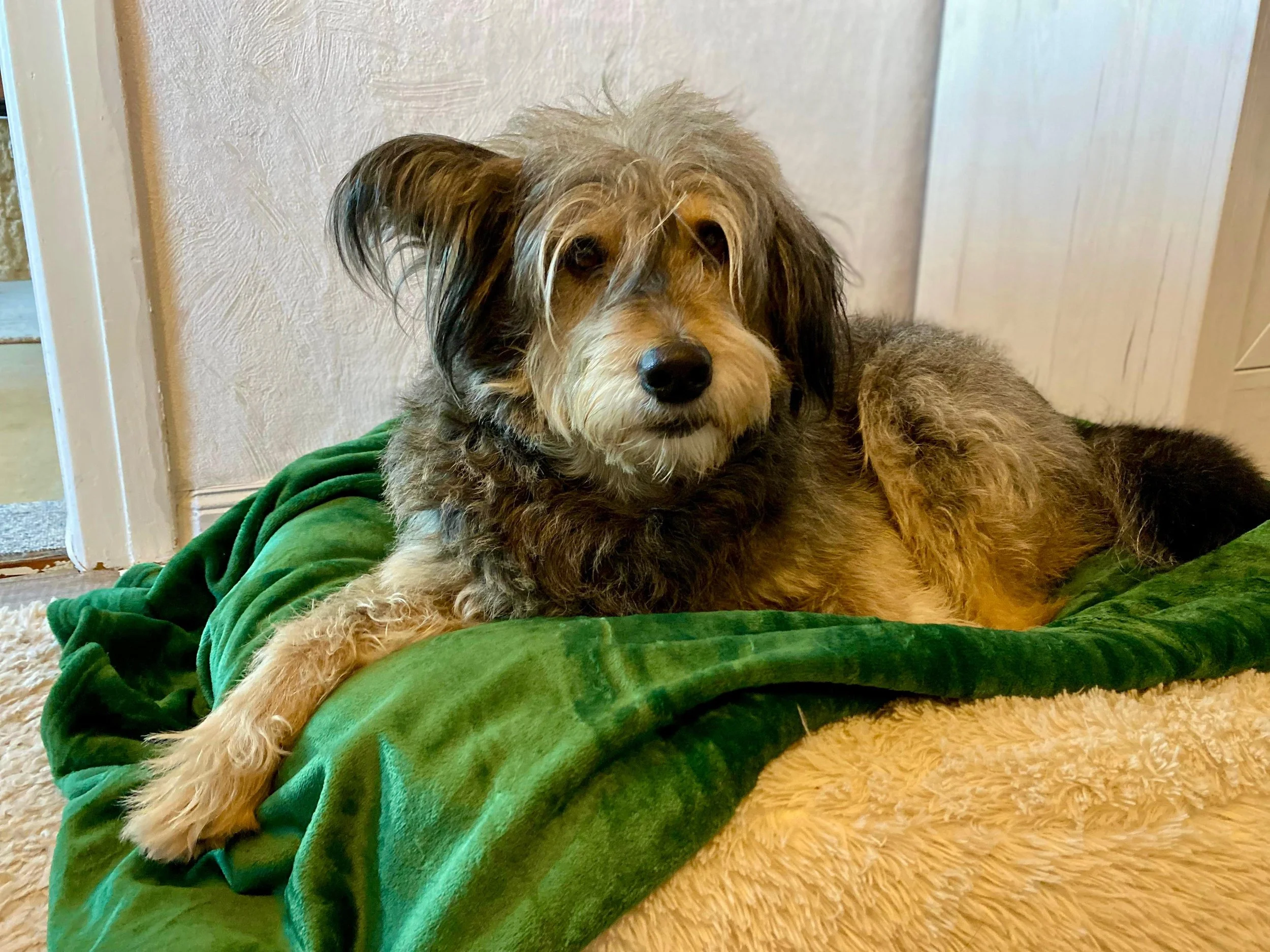 WhatsApp Image 2026-01-10 at 12.02.46.jpeg