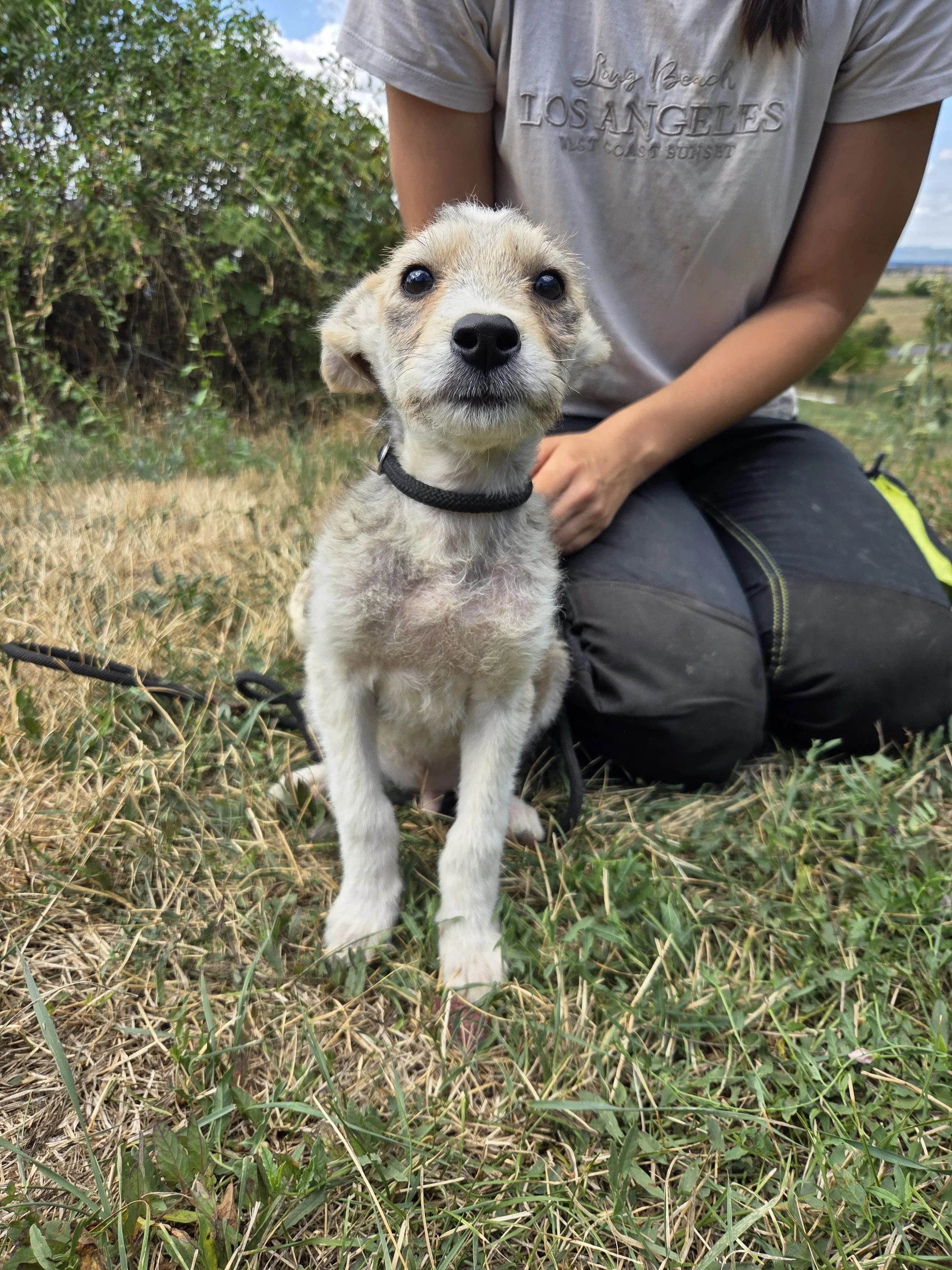 a64e0e6e-7768-4c19-bd5e-b144e1992936.JPG