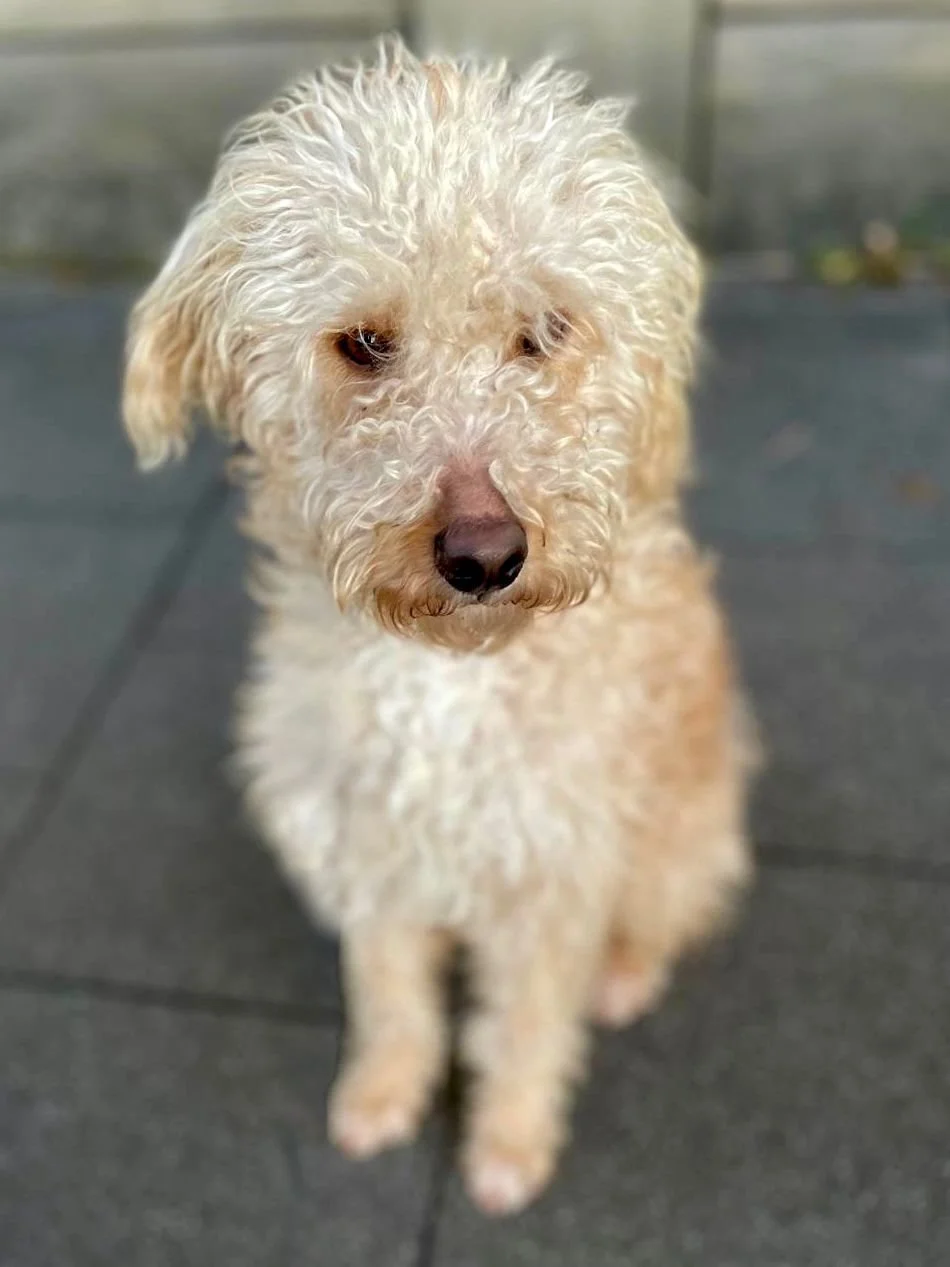 WhatsApp Image 2025-12-31 at 11.04.33 (1).jpeg