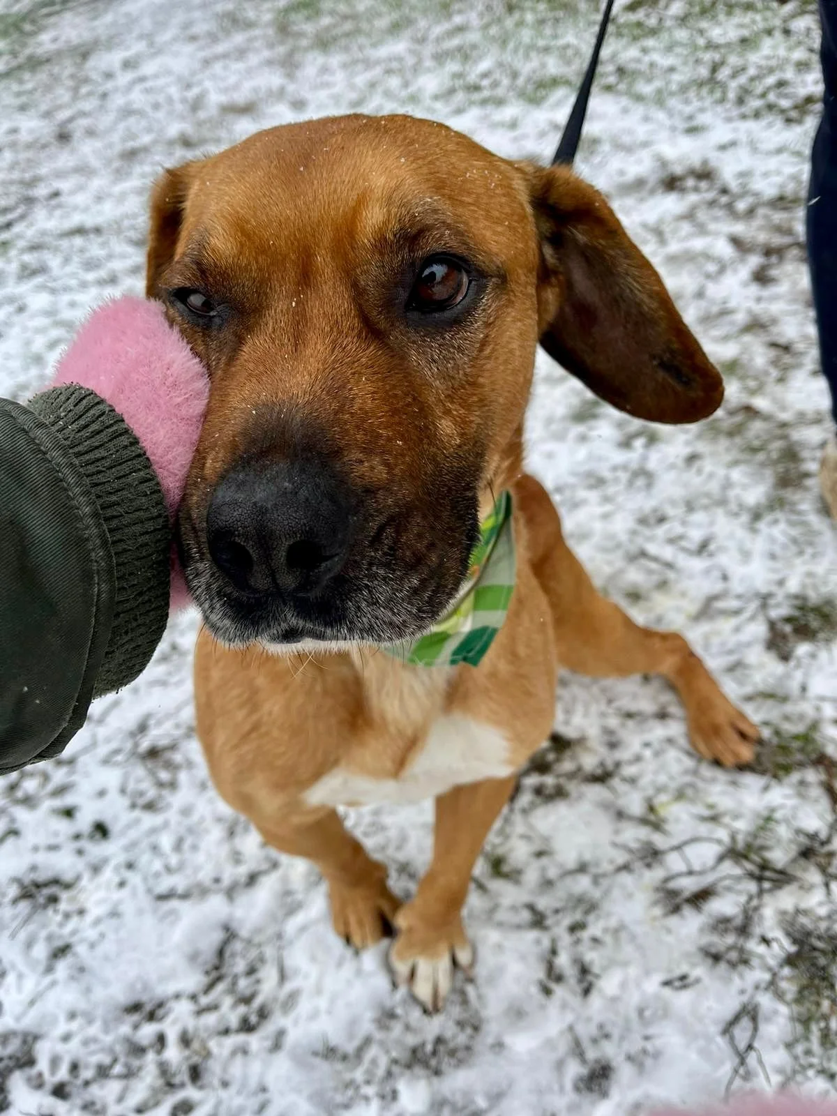 WhatsApp Image 2026-01-10 at 15.07.51 (1).jpeg