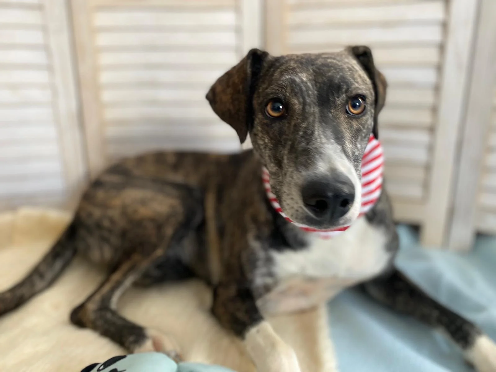 PHOTO-2025-11-12-09-35-42 (2).jpeg