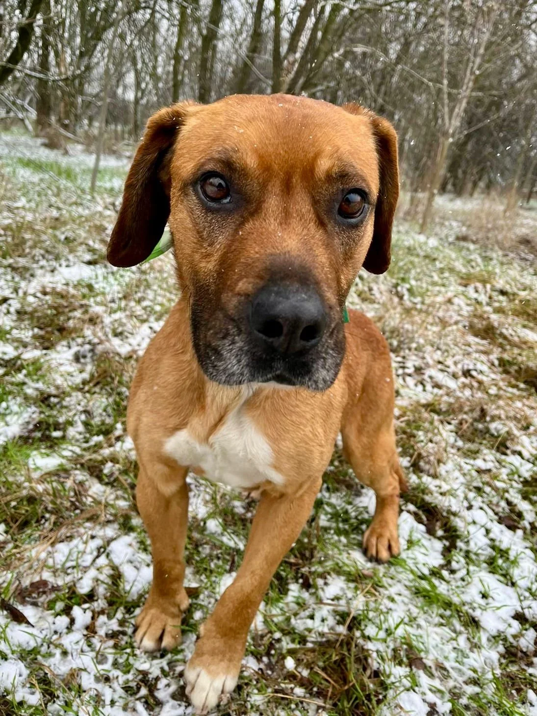 WhatsApp Image 2026-01-10 at 15.07.53.jpeg