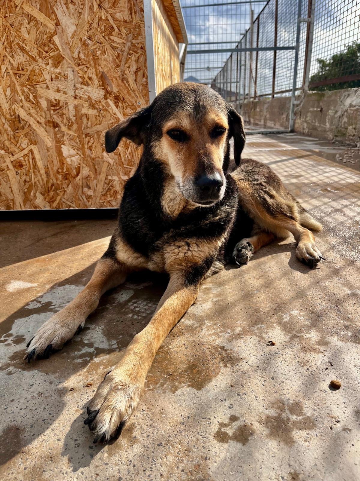 PHOTO-2026-10-03-11-40-52 (2).jpeg