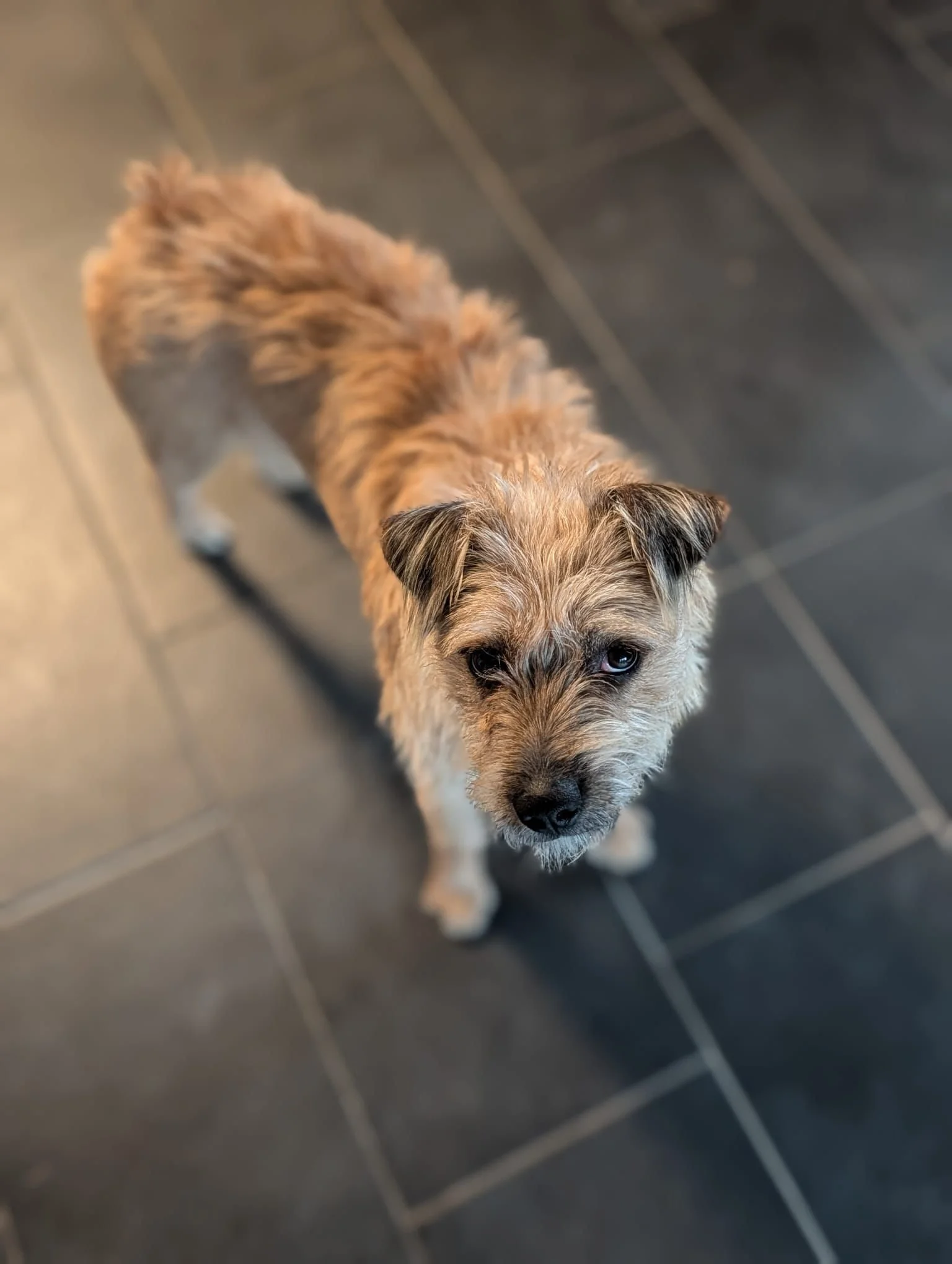 WhatsApp Image 2025-11-19 at 17.16.47.jpeg