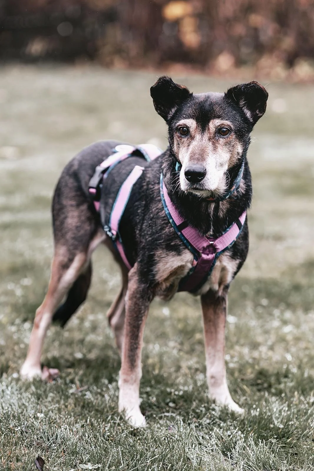 WhatsApp Image 2025-12-13 at 16.28.26 (2).jpeg