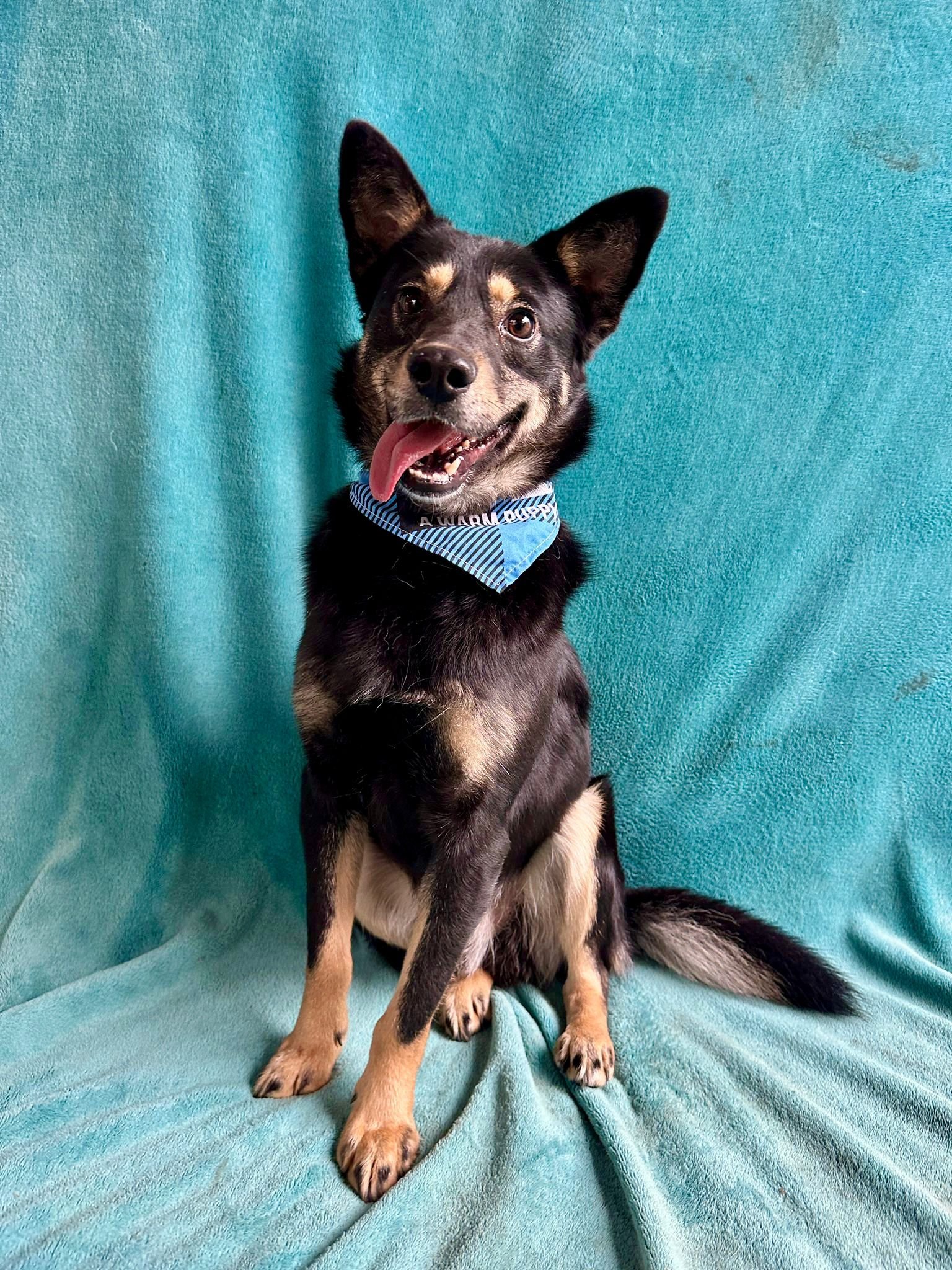 WhatsApp Image 2026-01-01 at 13.24.58.jpeg