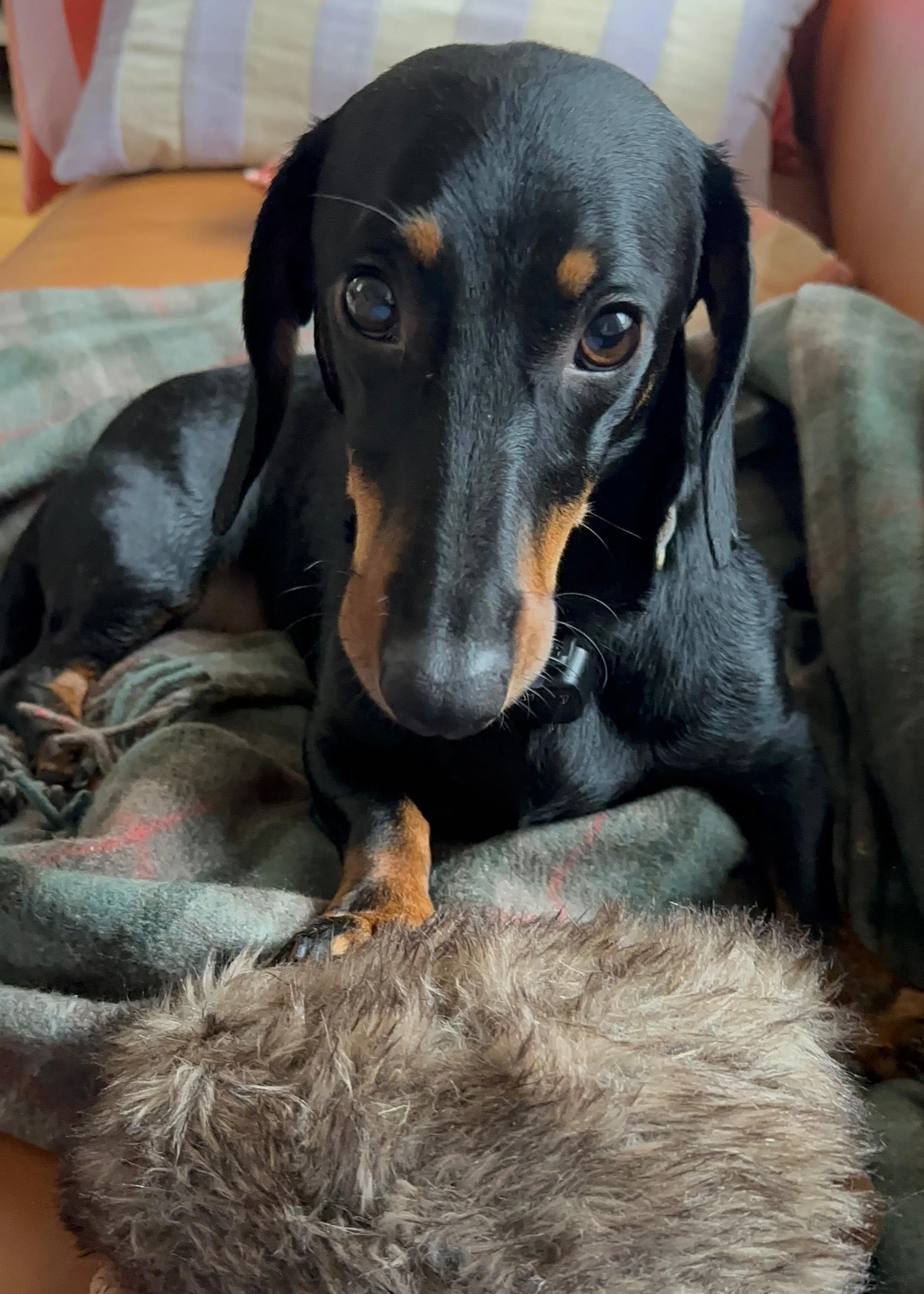 WhatsApp Image 2025-11-17 at 10.34.38 (1).jpeg