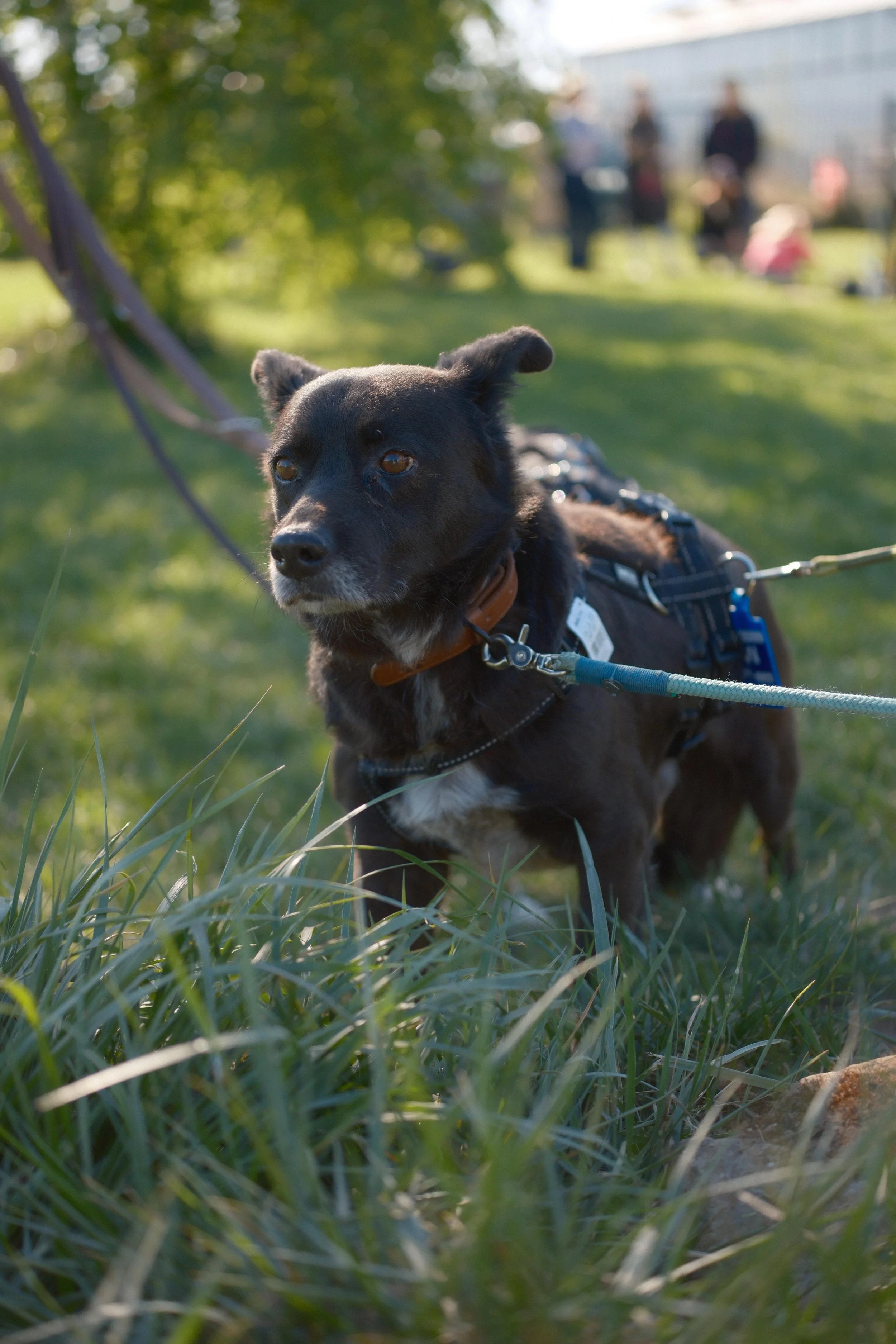 0b8647fa-5319-4b15-ae7d-9a6bf8e0575d.jpeg