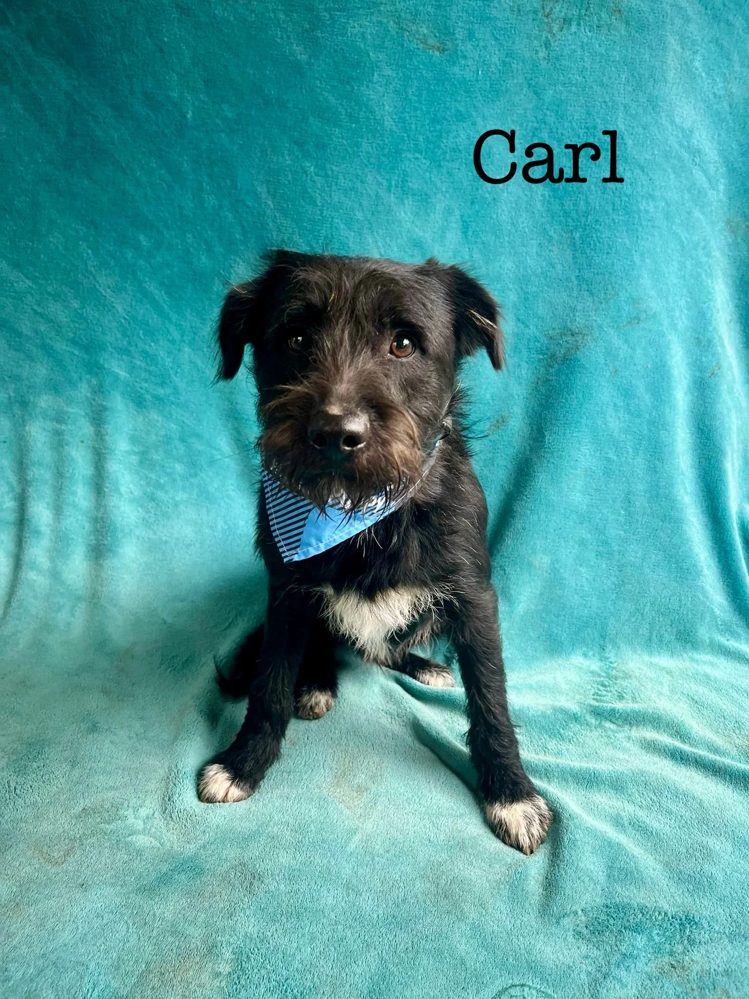 WhatsApp Image 2026-01-03 at 17.56.39 (2).jpeg