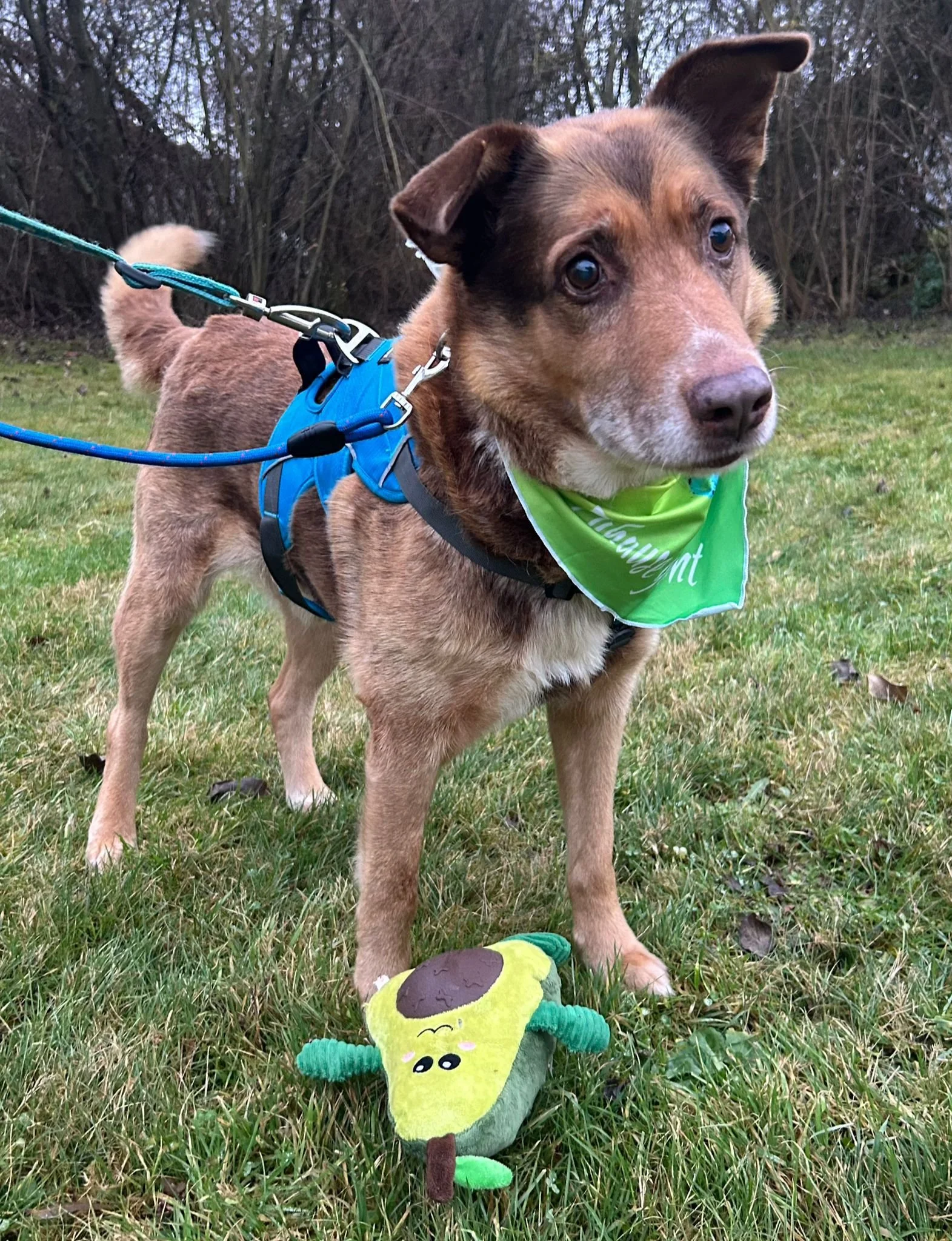 WhatsApp Image 2026-01-23 at 15.35.32 (3).jpeg