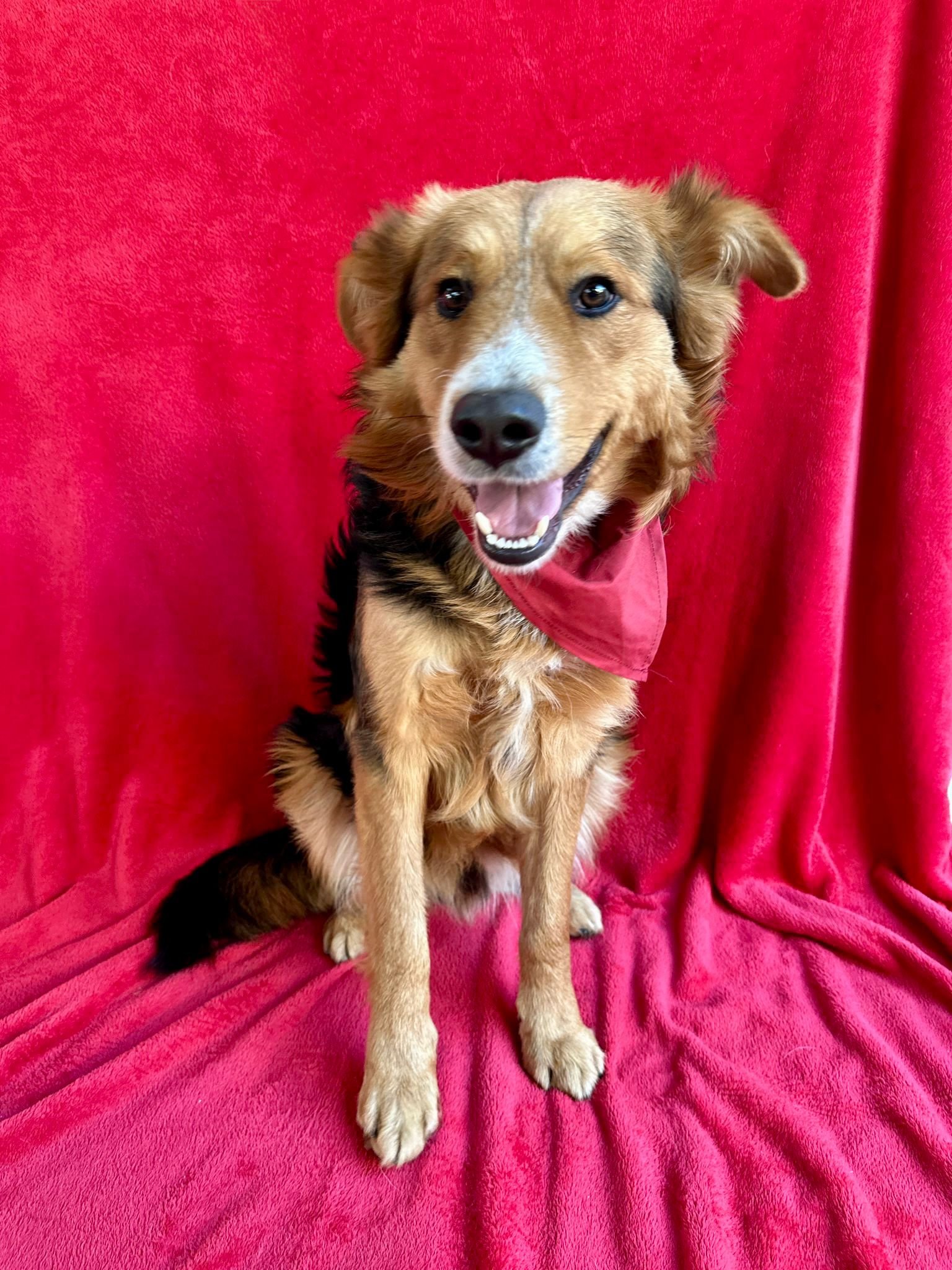 WhatsApp Image 2026-01-09 at 20.25.59.jpeg