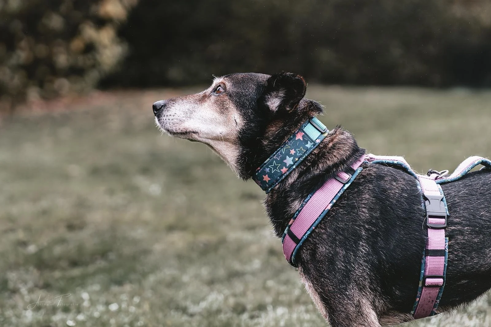 WhatsApp Image 2025-12-13 at 16.28.29.jpeg