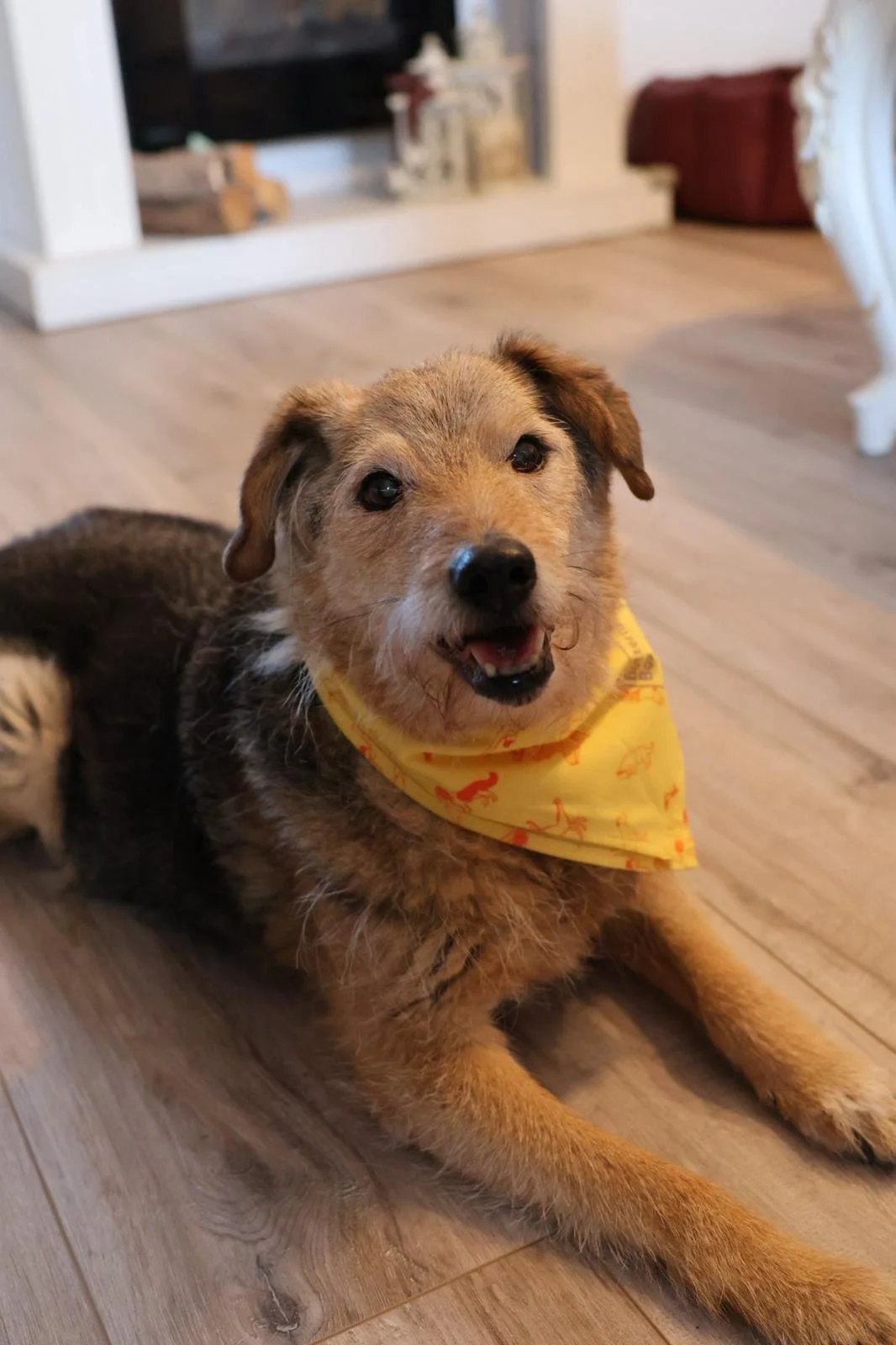 WhatsApp Image 2026-01-24 at 19.38.51.jpeg