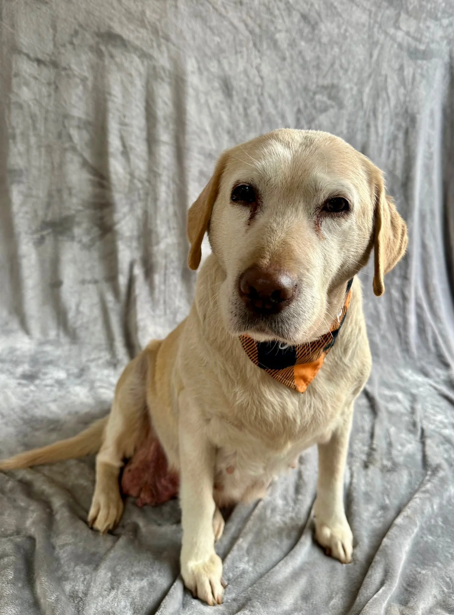 WhatsApp Image 2026-01-01 at 12.37.35 (1).jpeg