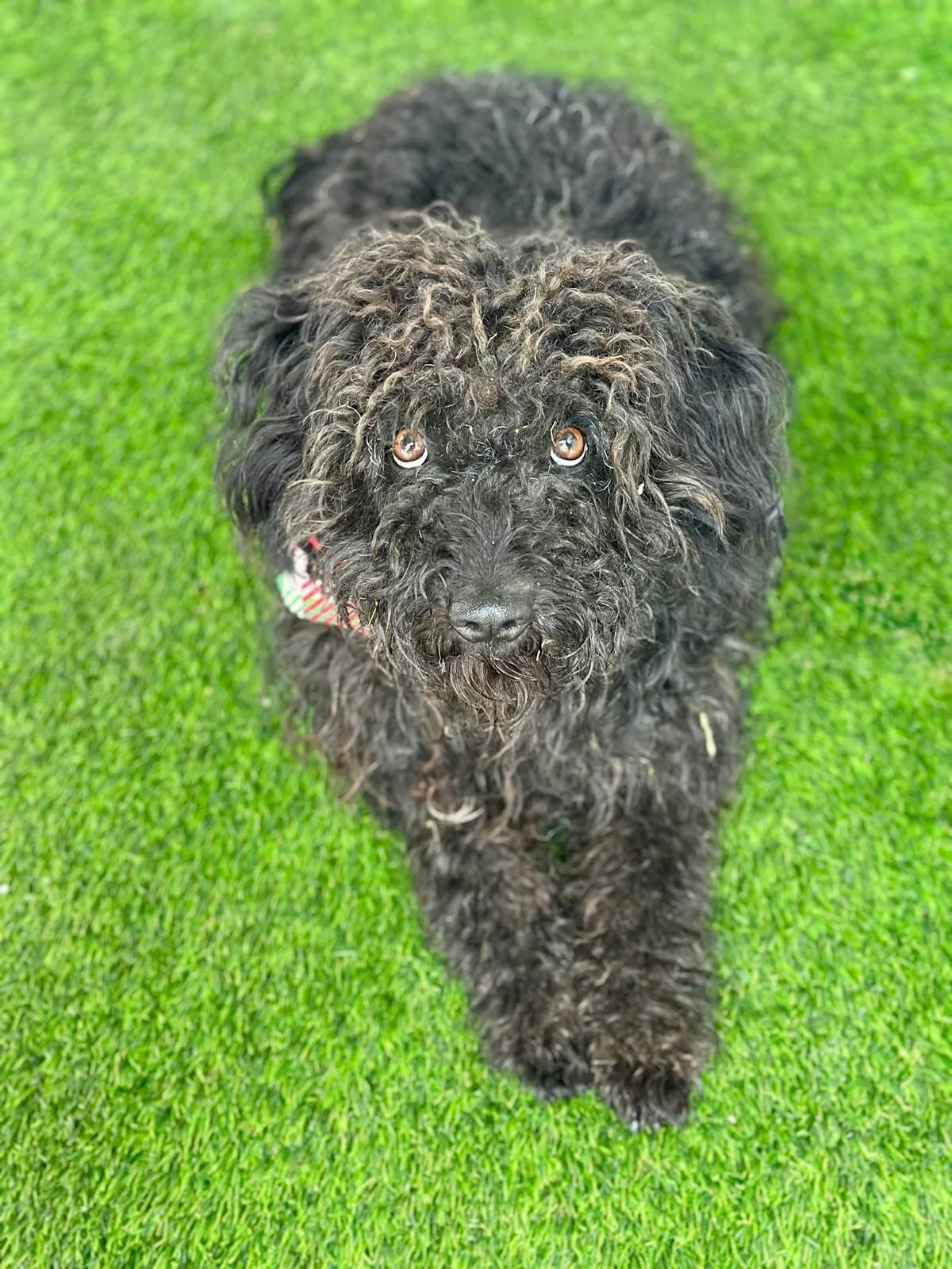 WhatsApp Image 2026-01-20 at 15.53.42.jpeg