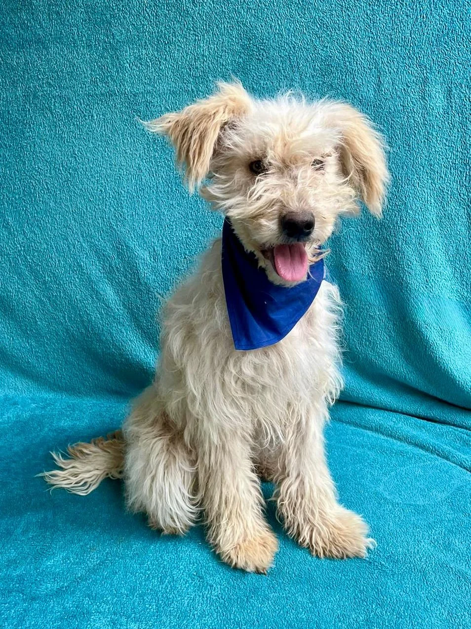 WhatsApp Image 2025-10-31 at 10.04.28 (1).jpeg