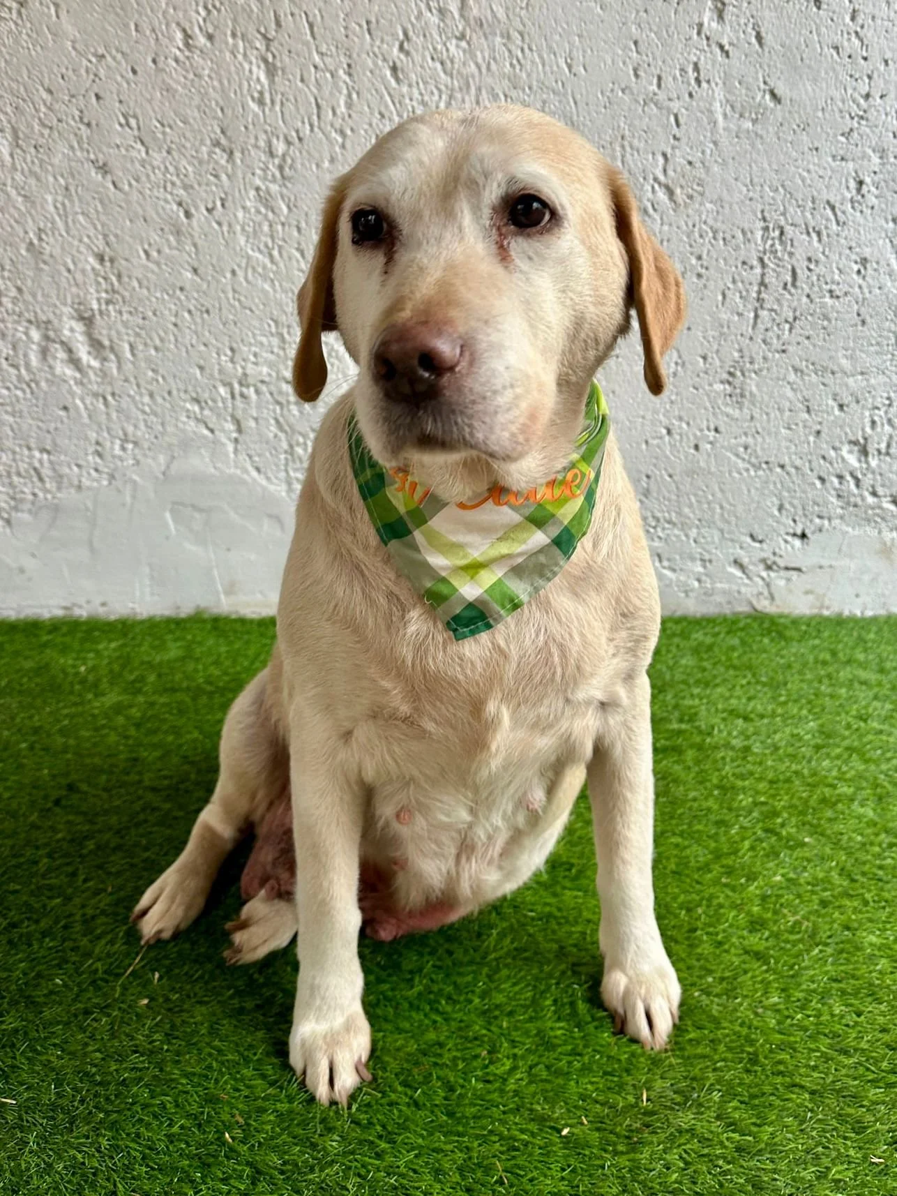 WhatsApp Image 2026-01-01 at 12.37.30.jpeg