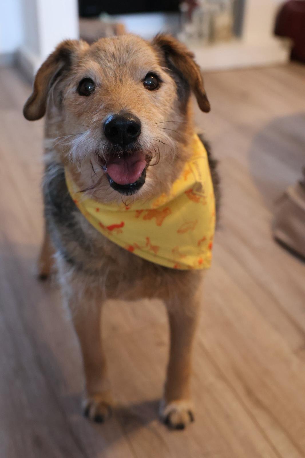 WhatsApp Image 2026-01-24 at 19.38.56.jpeg