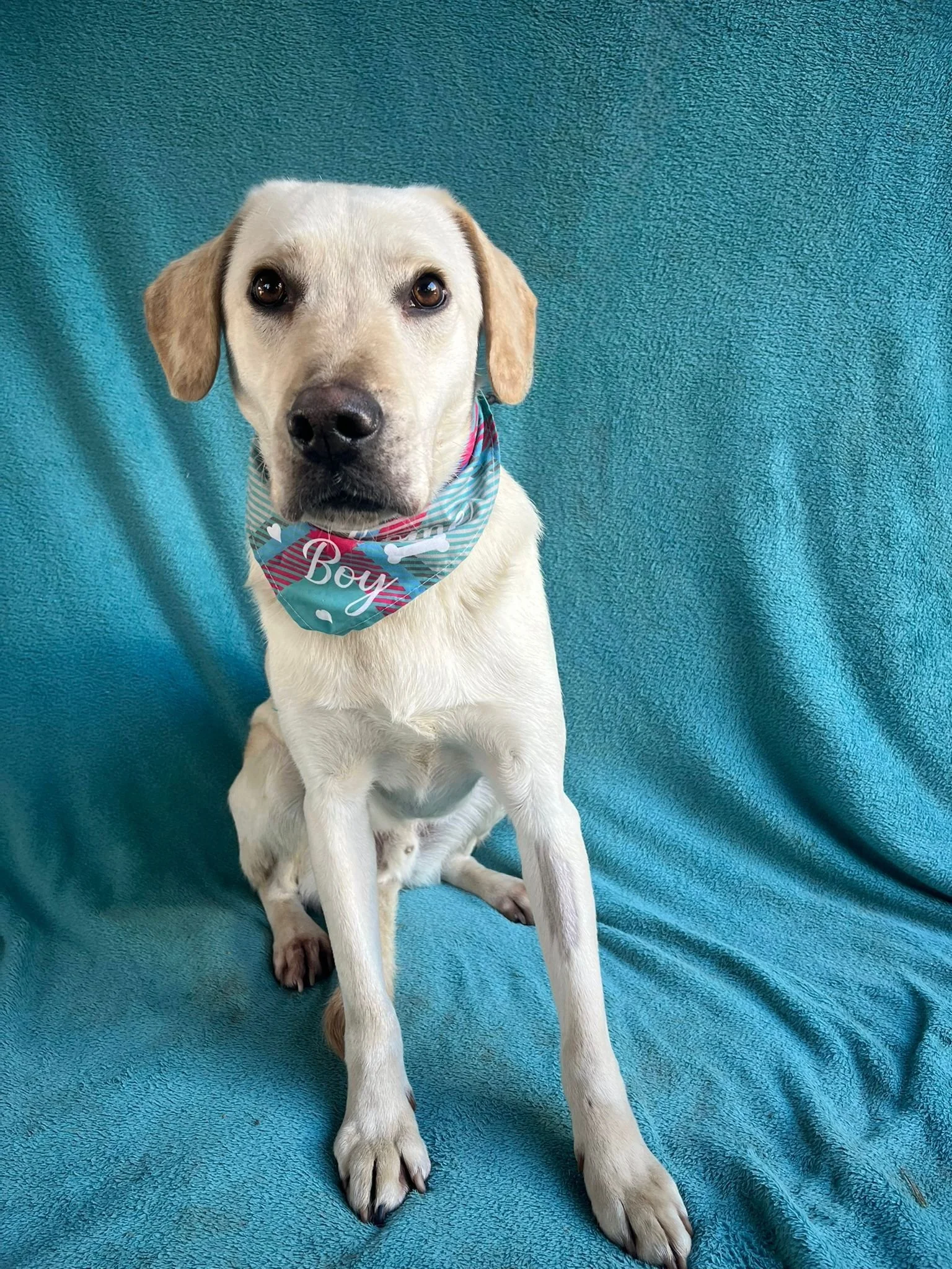 WhatsApp Image 2026-01-01 at 19.16.34.jpeg