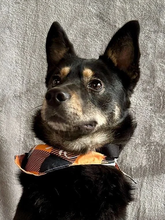 WhatsApp Image 2026-01-01 at 13.24.57 (2).jpeg