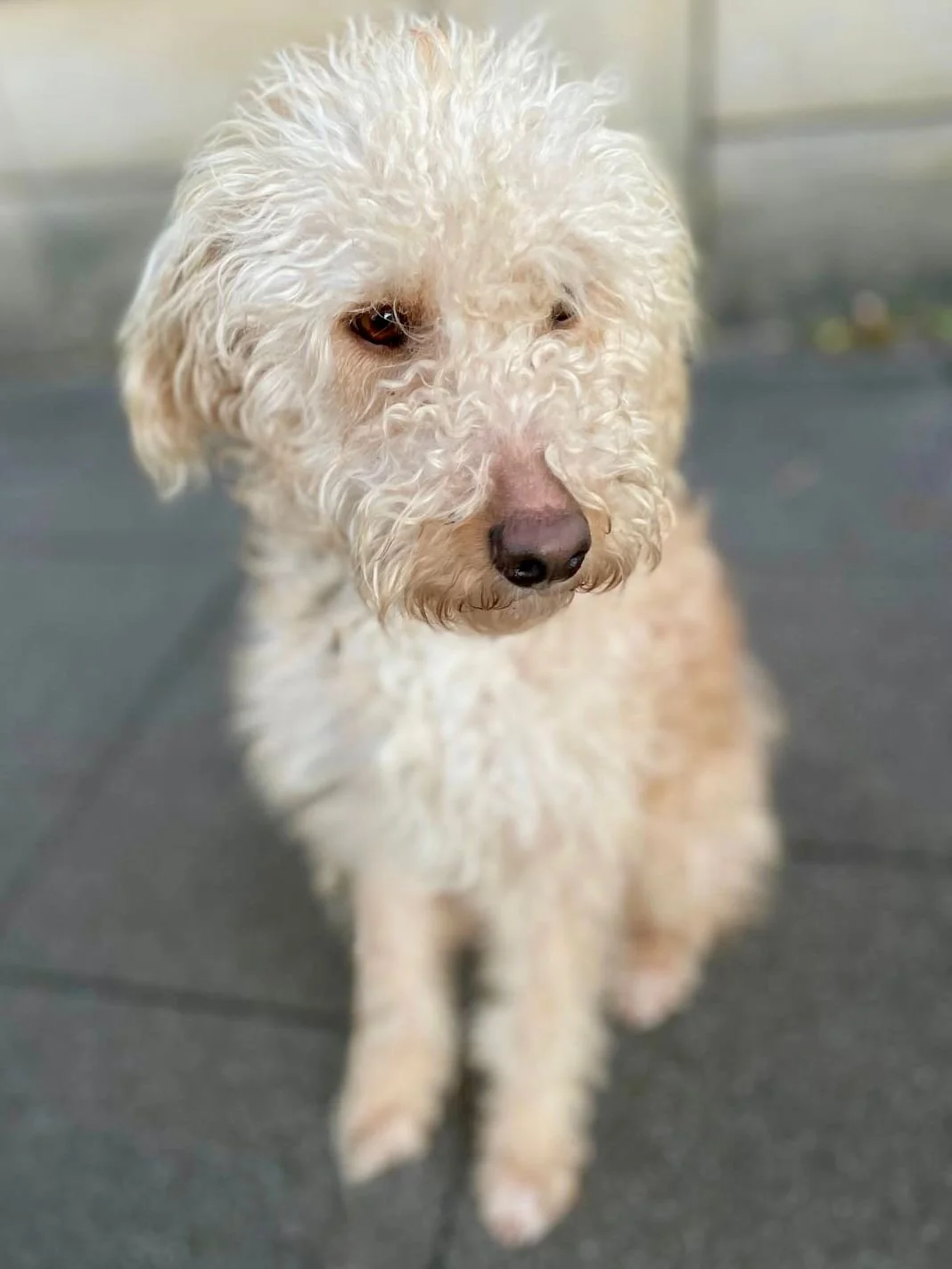 WhatsApp Image 2025-12-31 at 11.04.34.jpeg