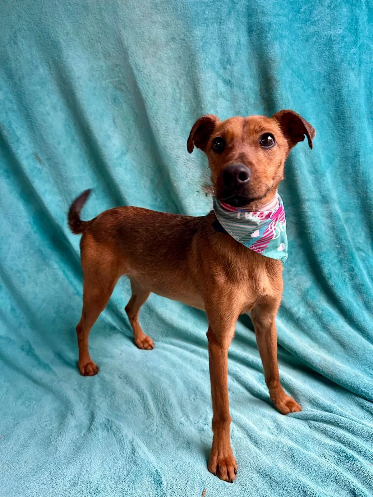 WhatsApp Image 2026-01-03 at 11.24.28 (1).jpeg