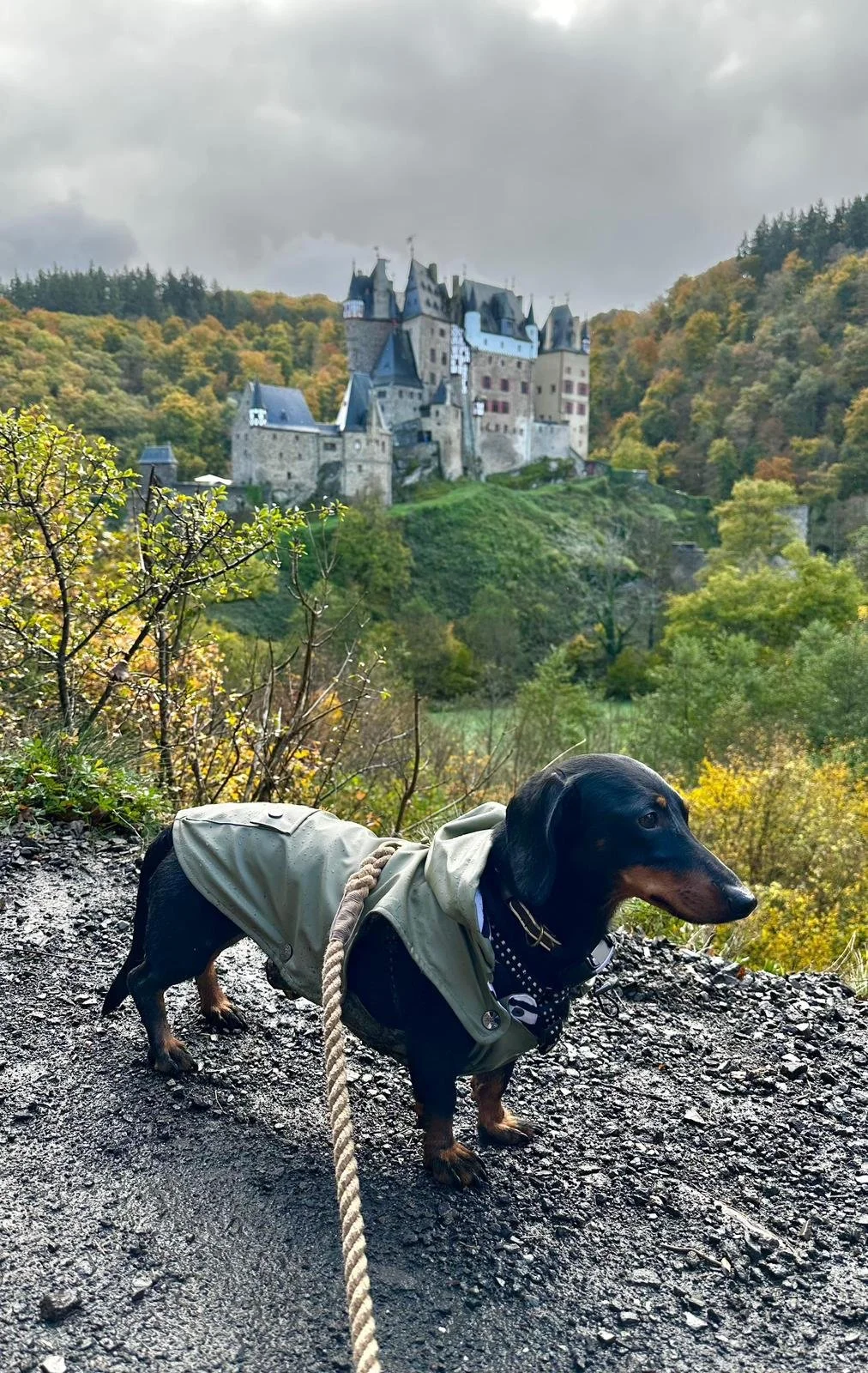 WhatsApp Image 2025-11-17 at 10.34.40 (3).jpeg