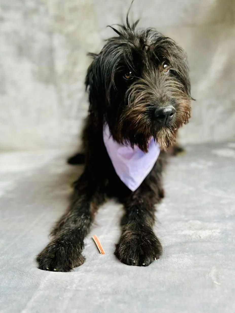 WhatsApp Image 2025-10-23 at 23.09.31 (1).jpeg