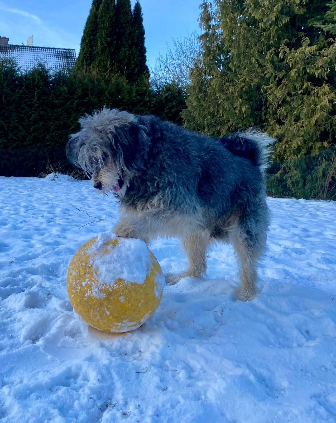 WhatsApp Image 2026-01-10 at 12.02.52.jpeg